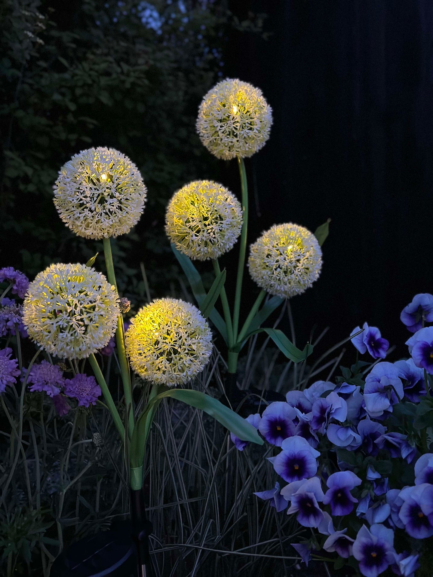 Dekorativ lök med solceller