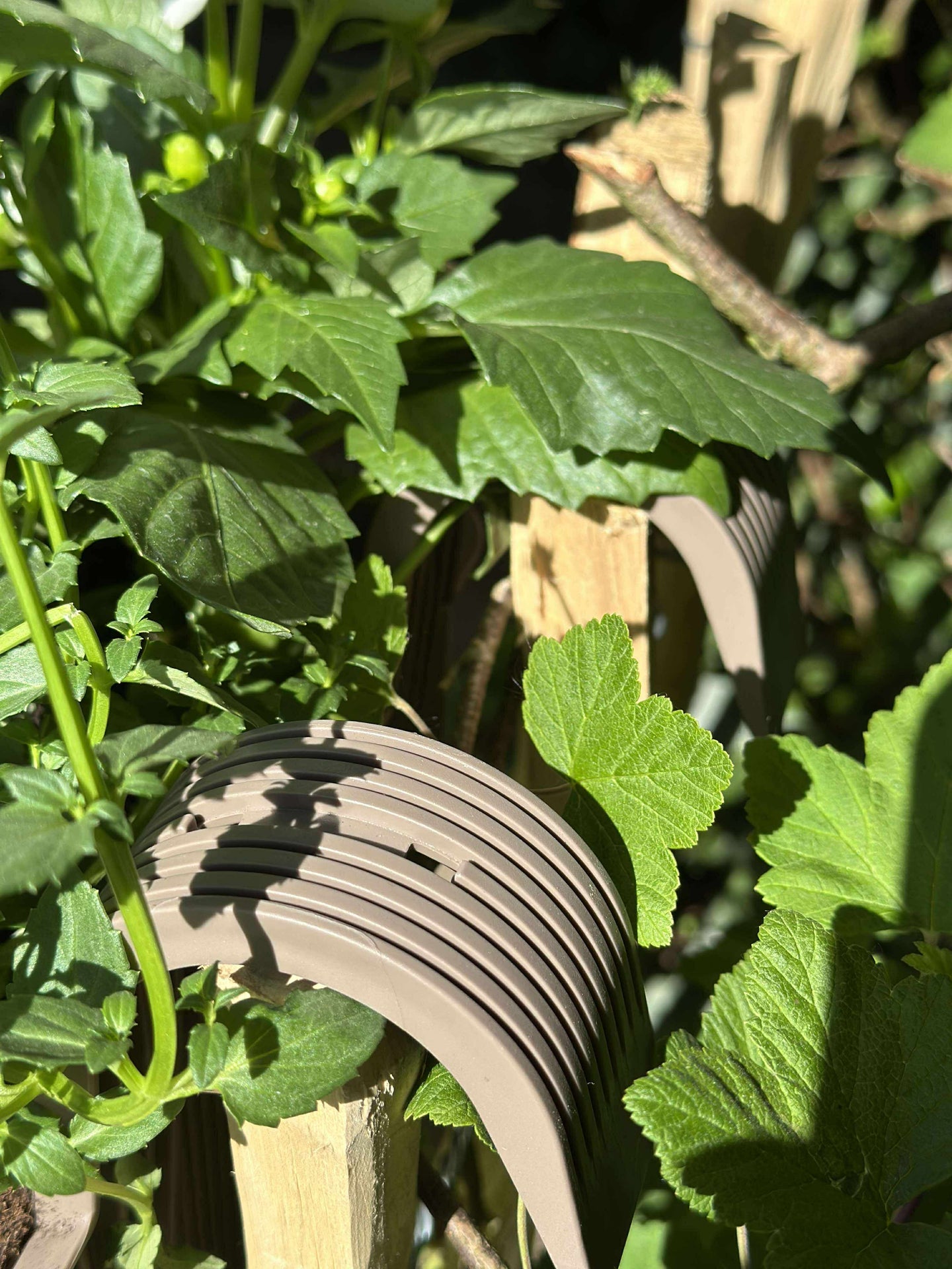Planteringslåda med upphängning - Beige