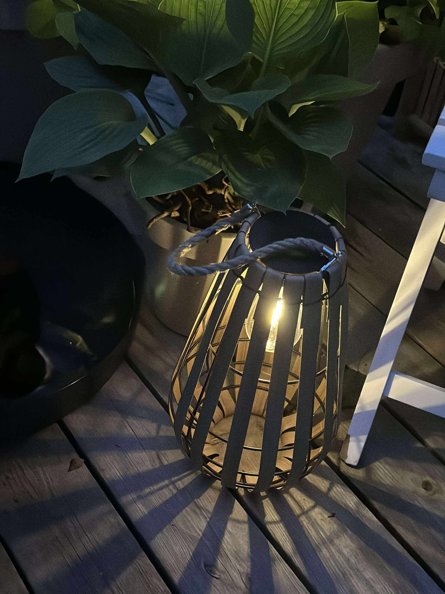 Lyktan Elisa Solar - Small Natur