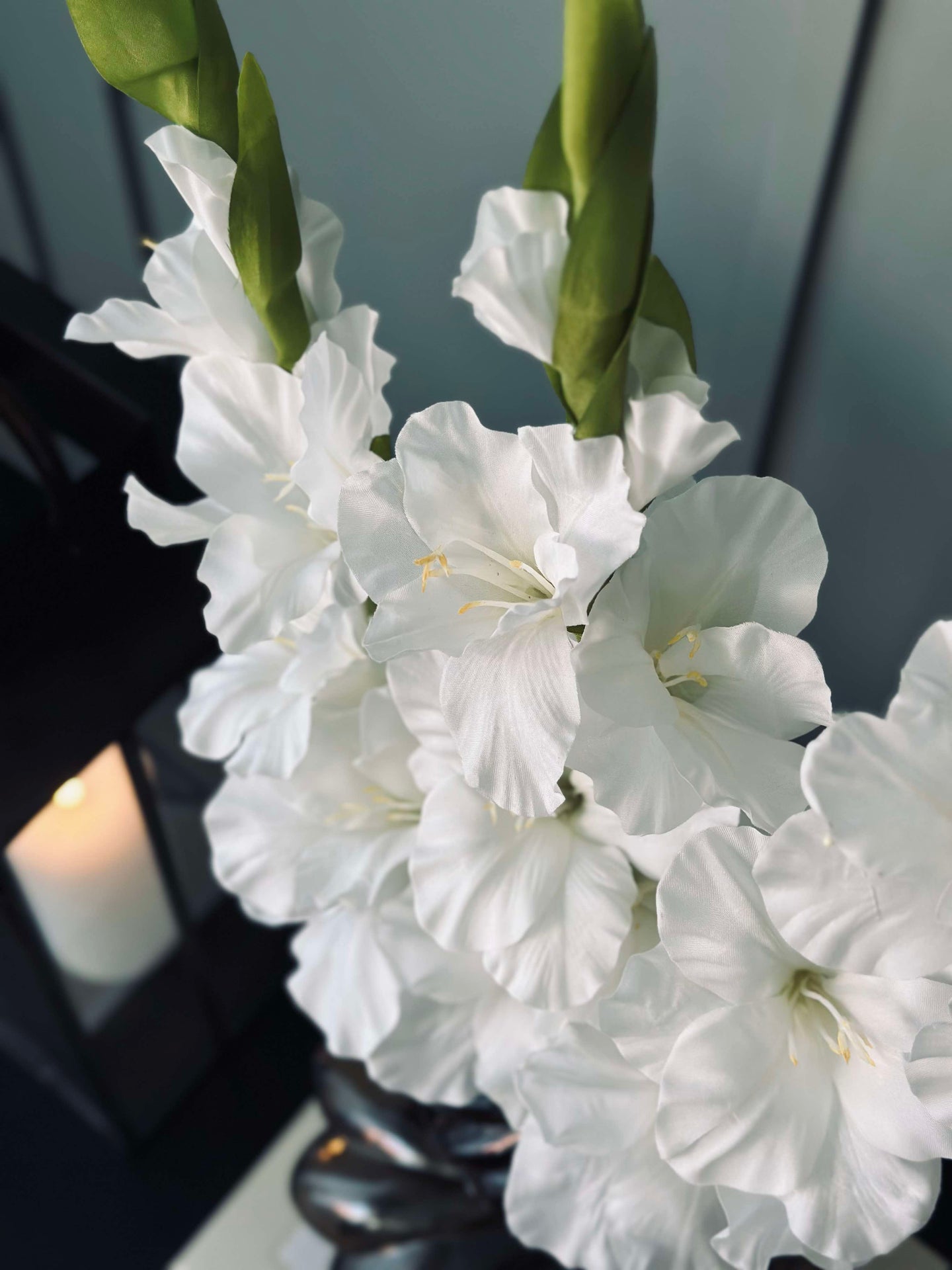 Gladiolusstjälk