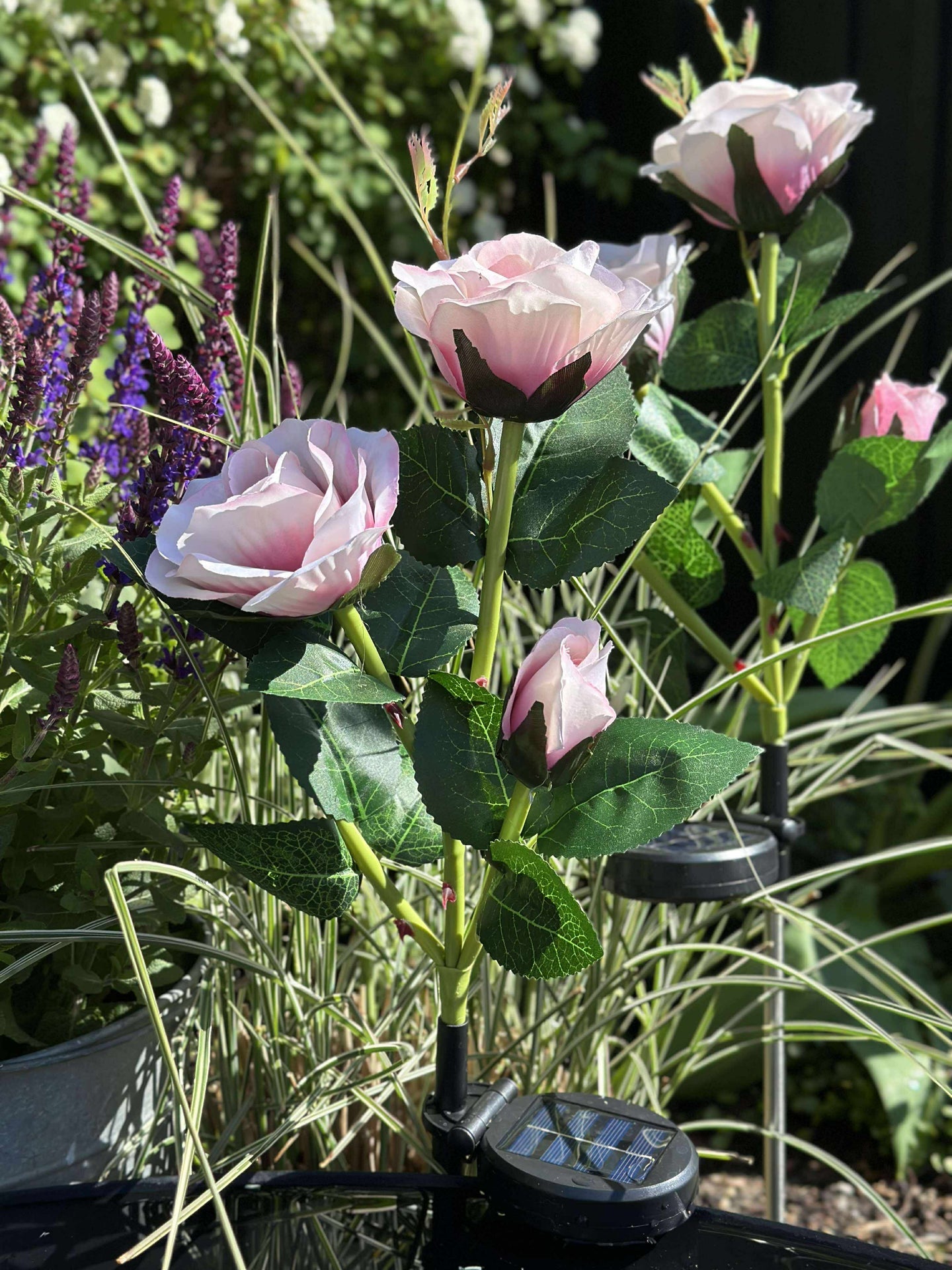 Ros med solceller - Rosa