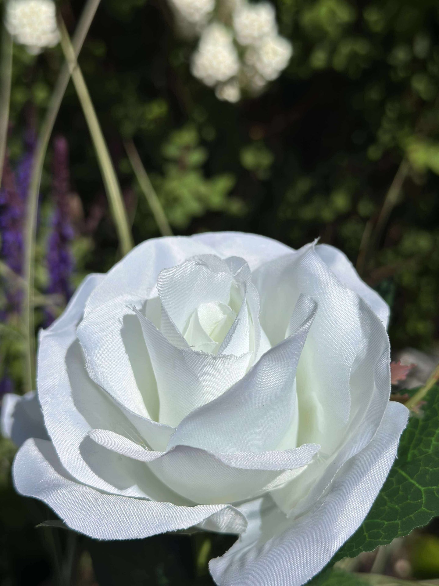 Ros med solceller - Vit