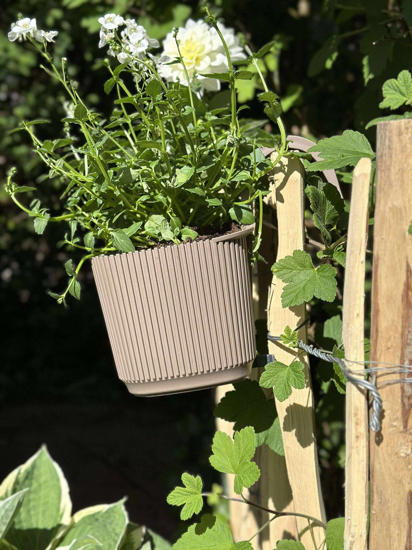 Planteringslåda med upphängning - Beige
