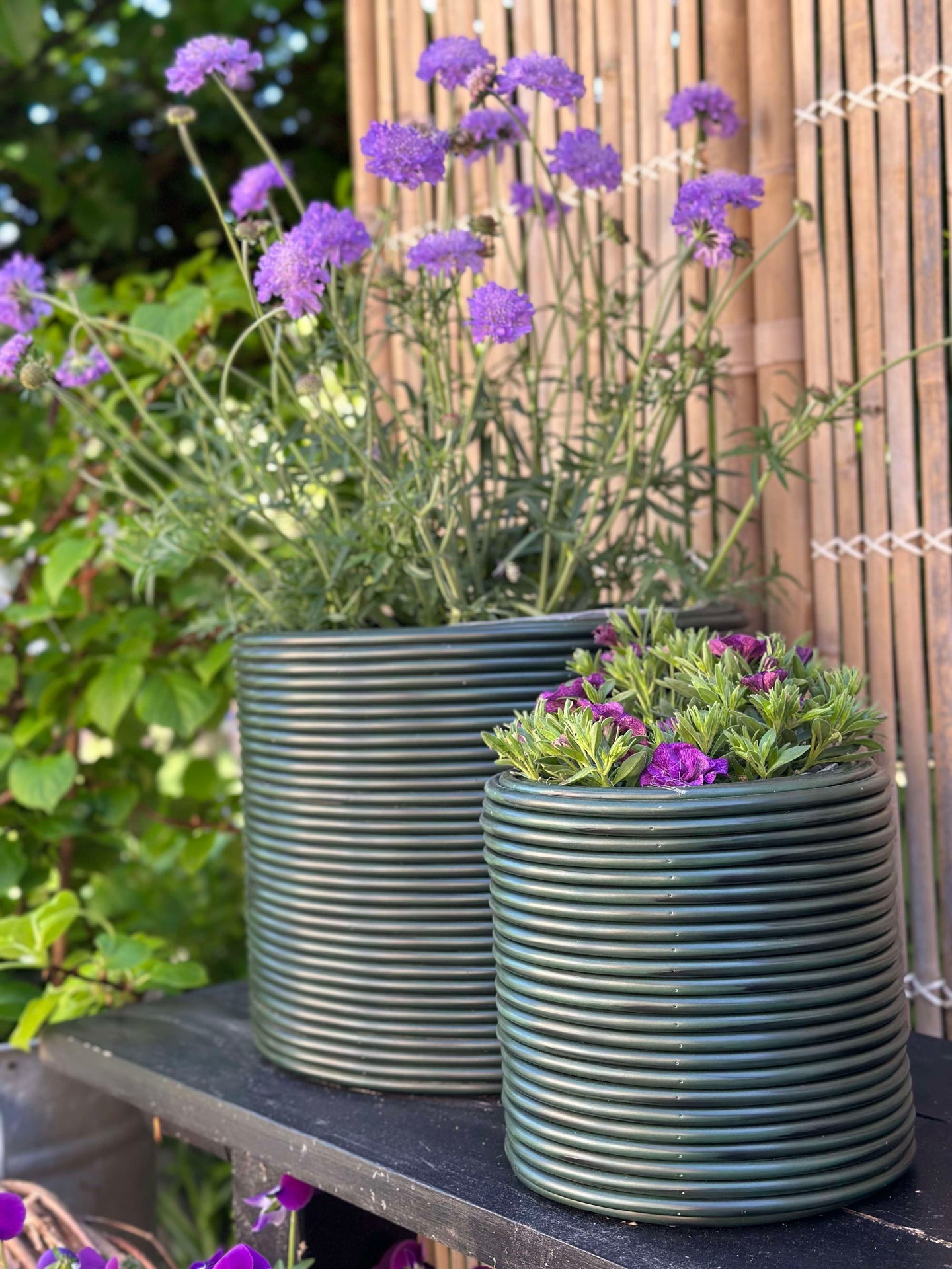 Grön Växtkorg - Set om 3 st.