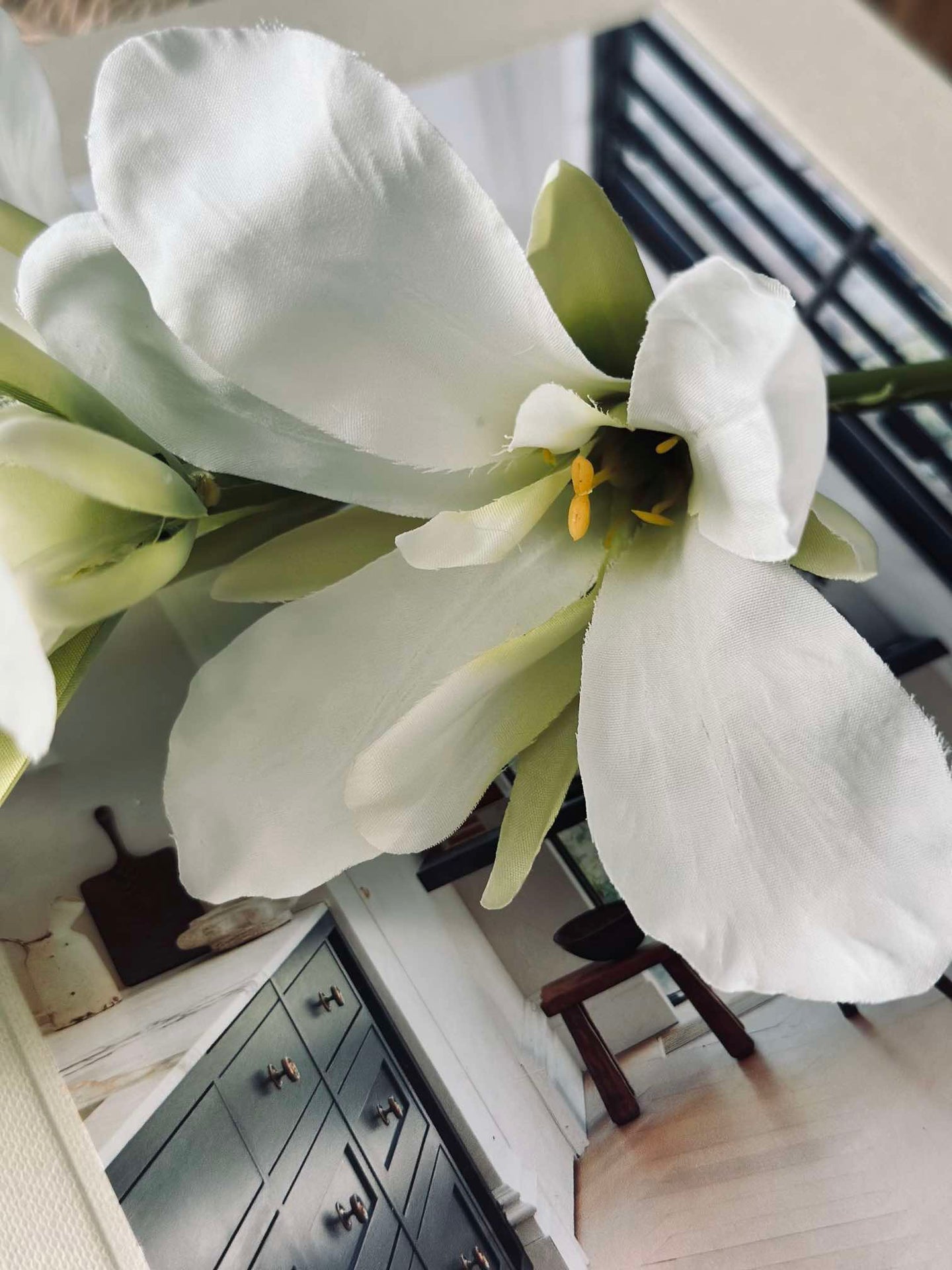 Gladiolusstjälk