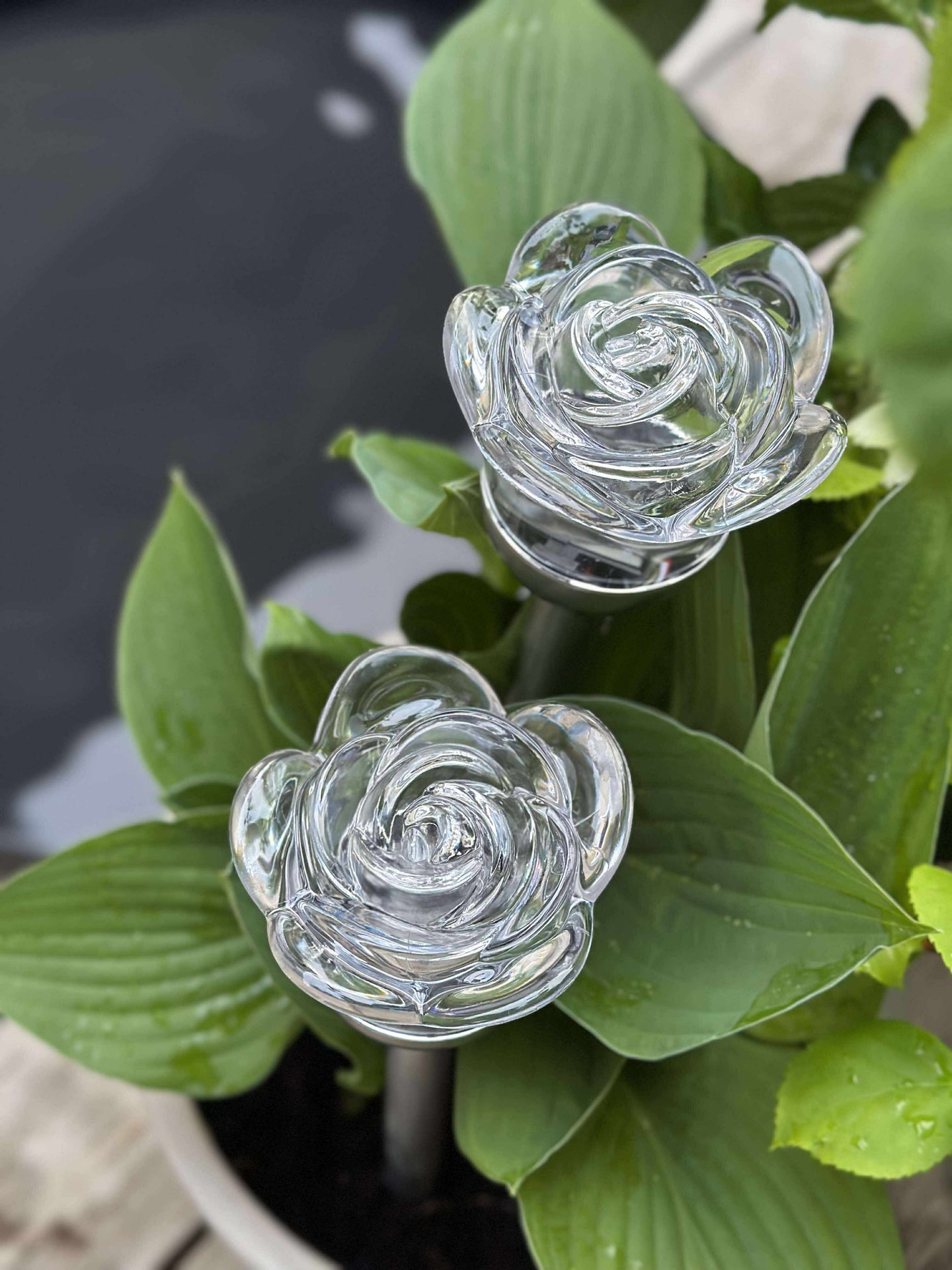 Fackla med solceller FLOWER – Set med 4 st
