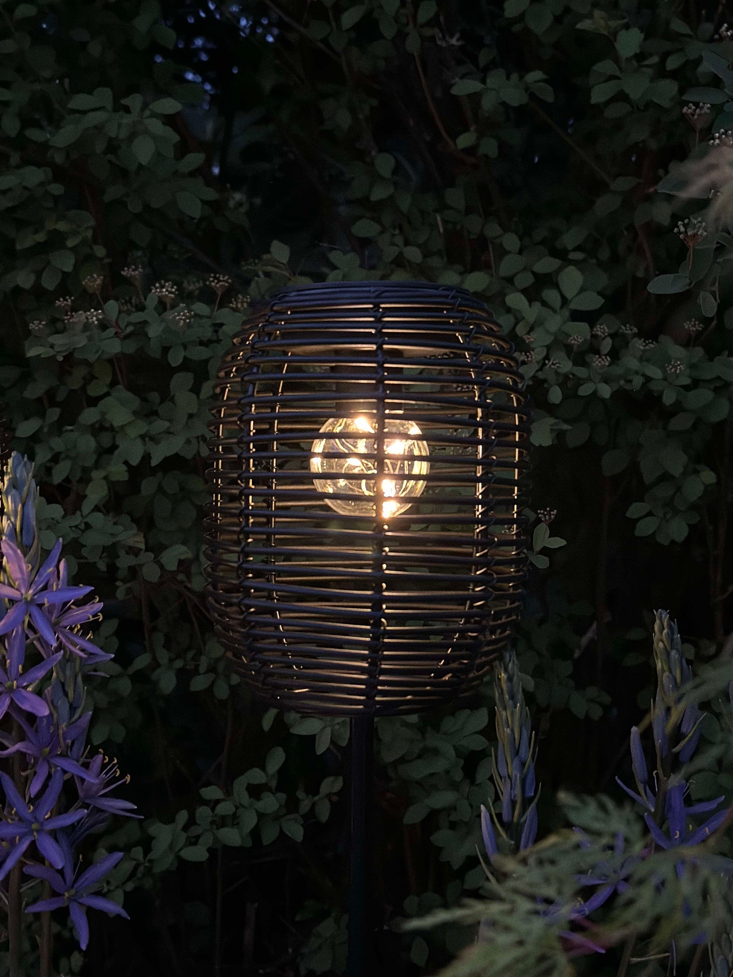 Lykta Molly svart på spjut - Solenergi