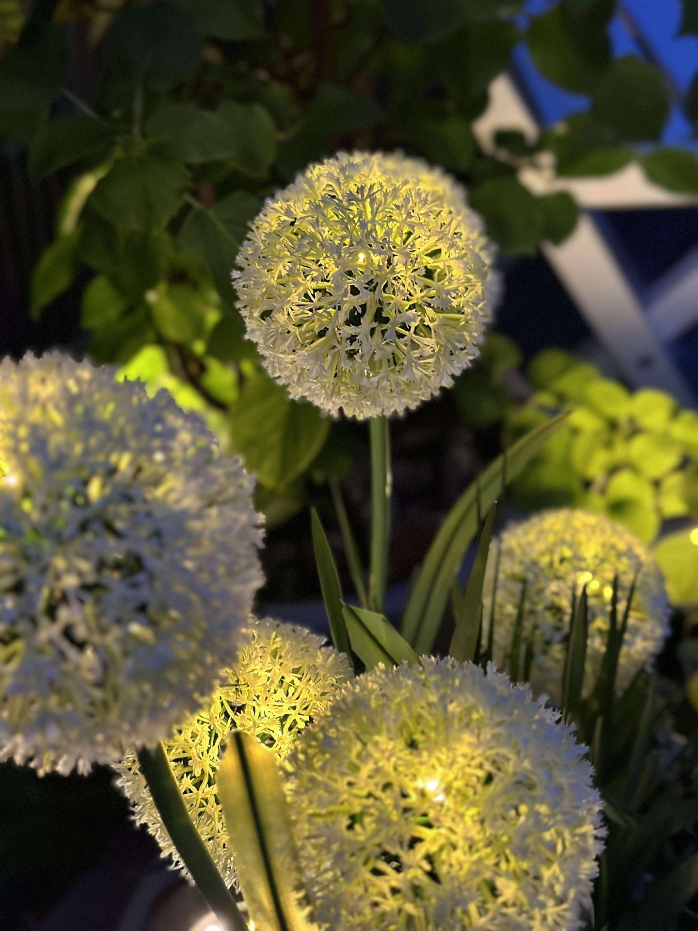 Dekorativ lök med solceller