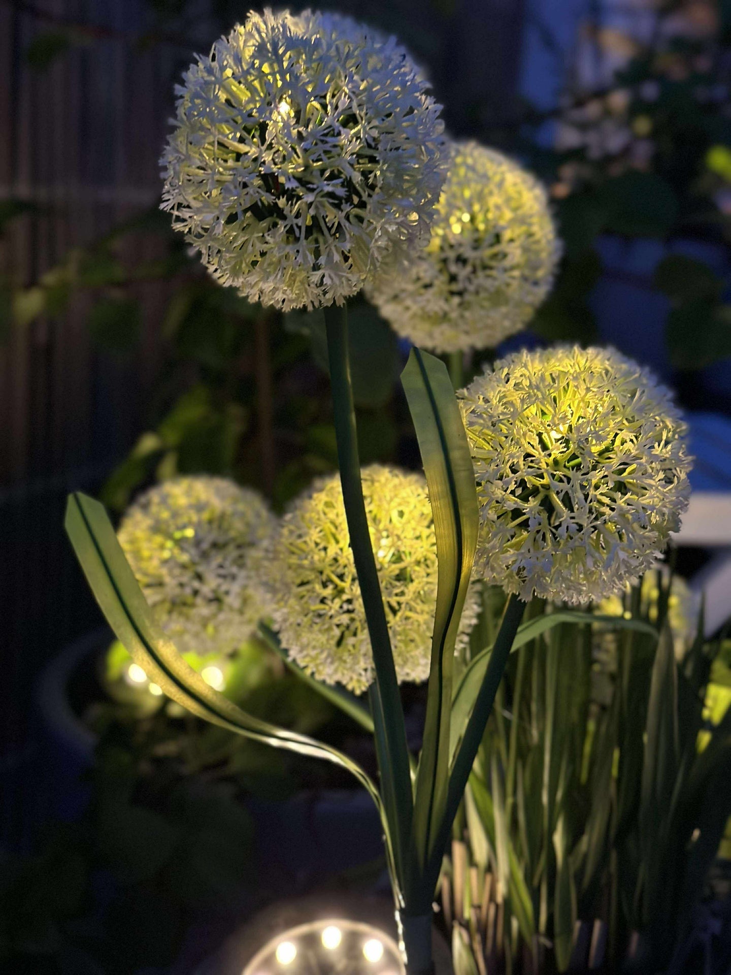 Dekorativ lök med solceller