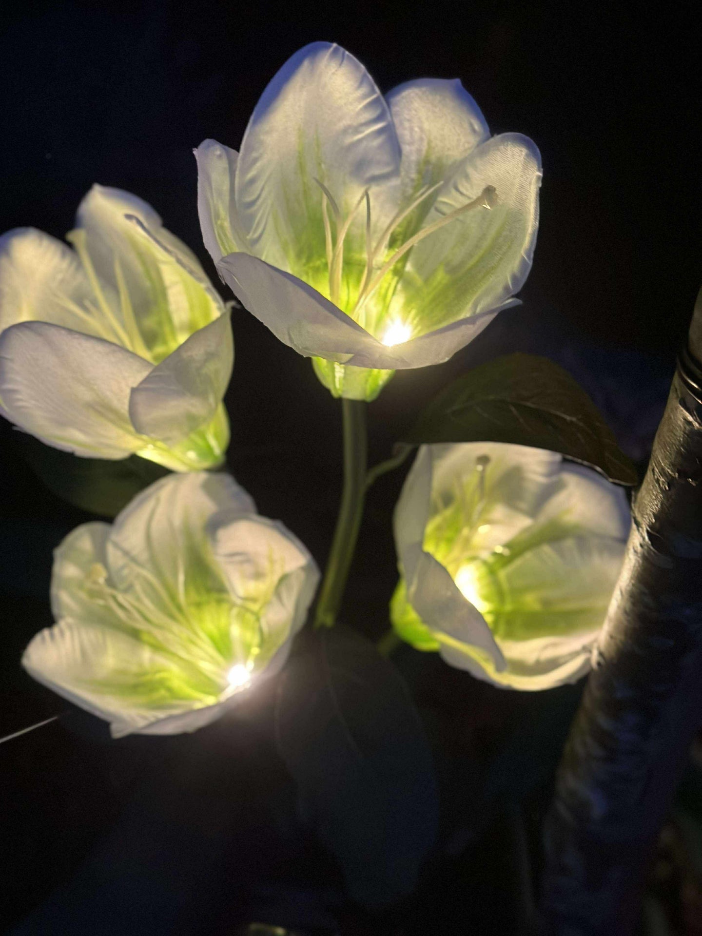 Magnolia med solceller - Vit