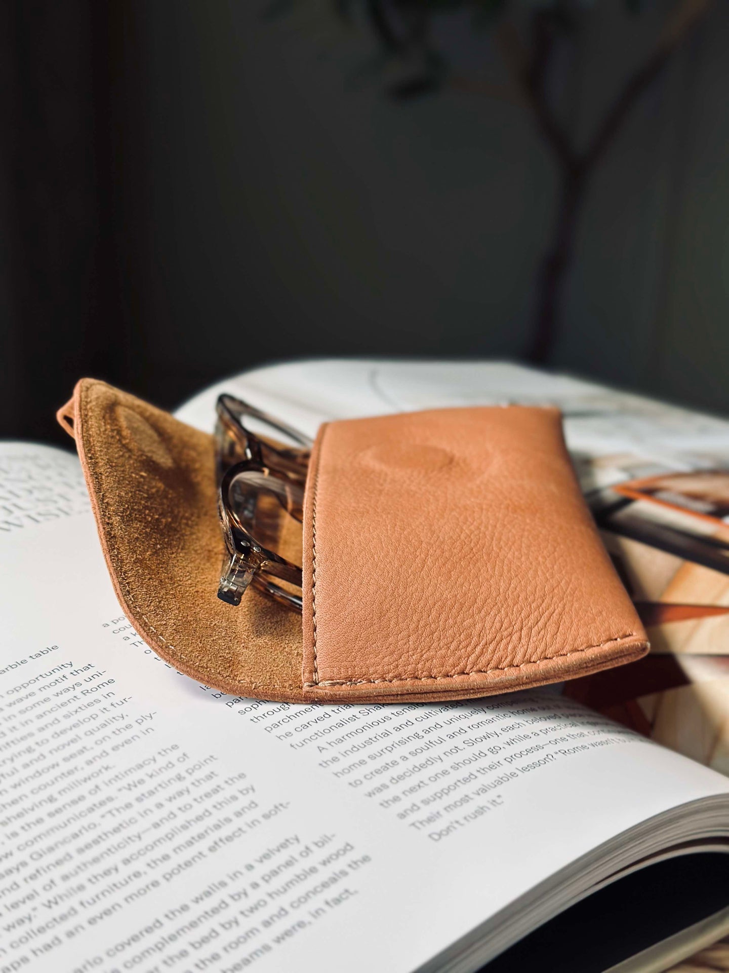 Solglasögonfodral - Cognac