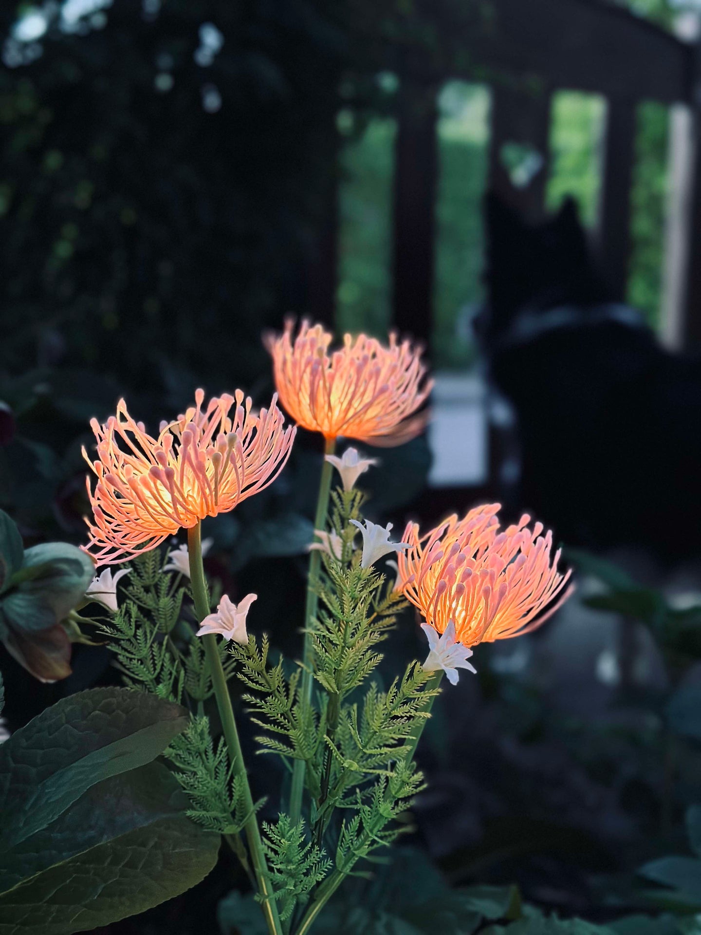 Solcellsblomma - Spindellilja ros