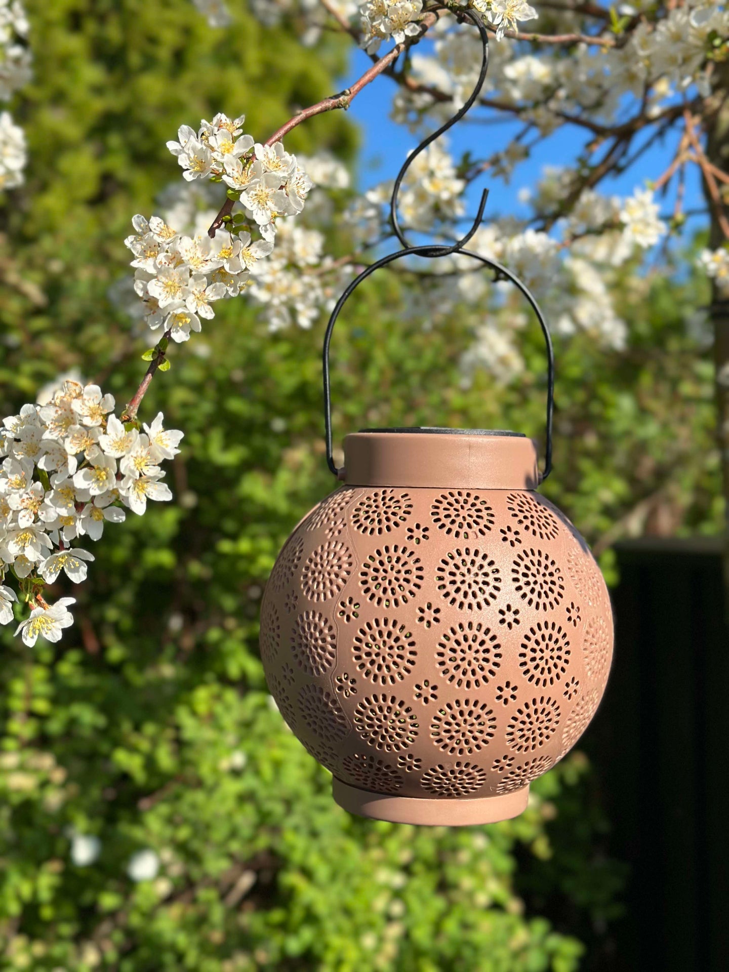 Lykta med upphängning FIONA - Gammalrosa