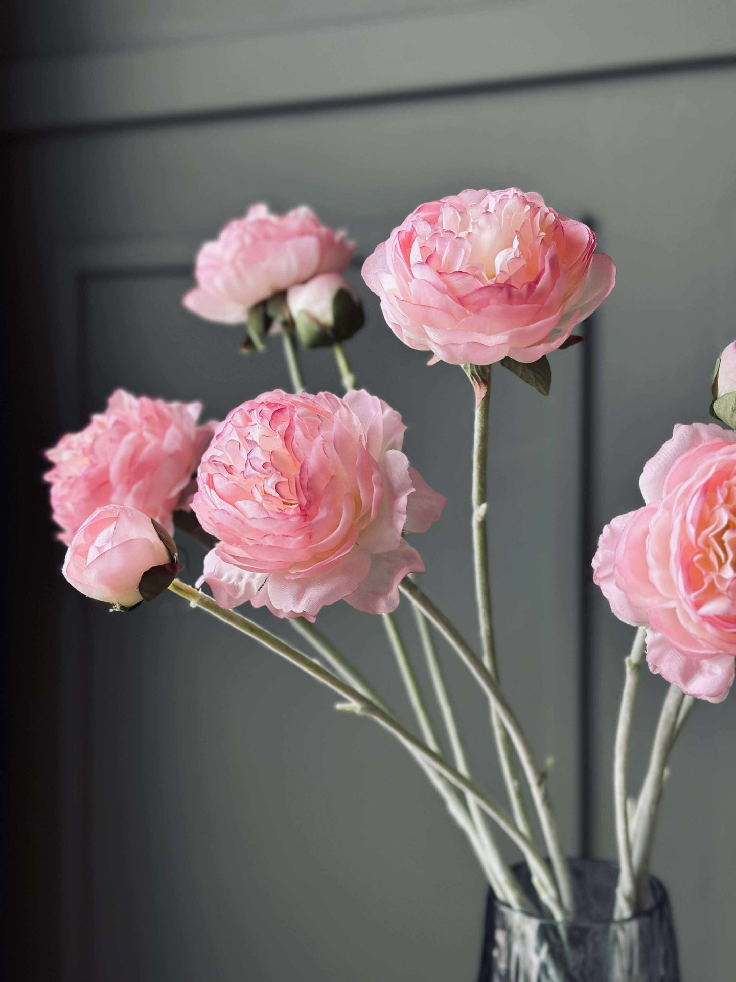 Ranunkelstjälk - Rosa