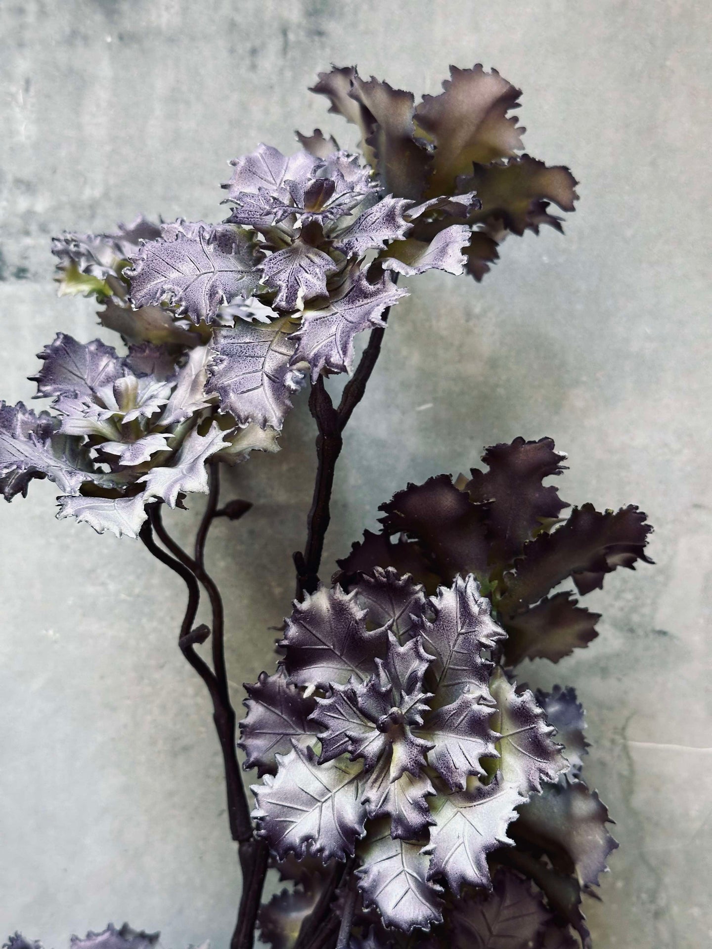 Blomma nejlika