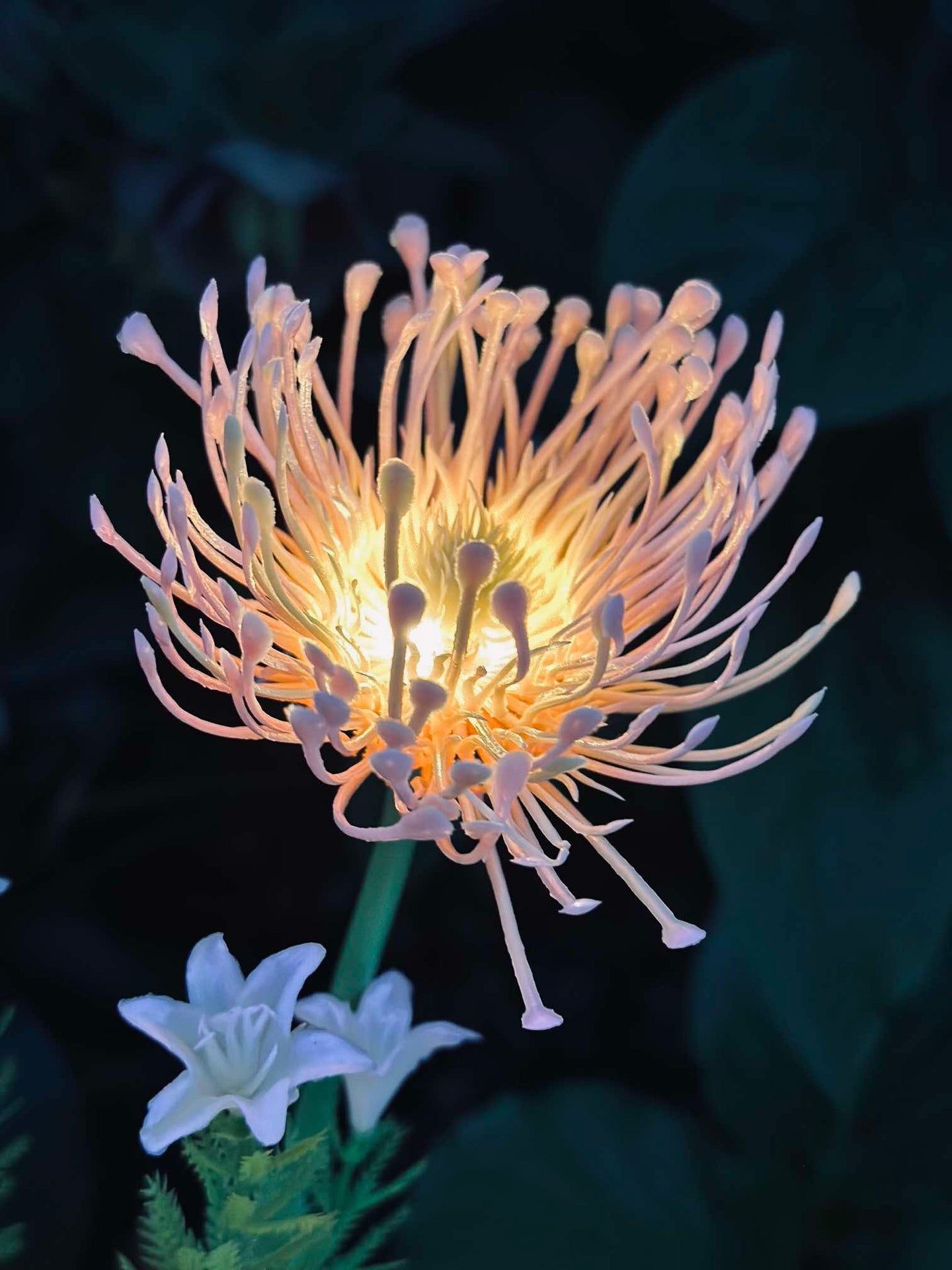 Blomma med solceller - Spider Lili rosa