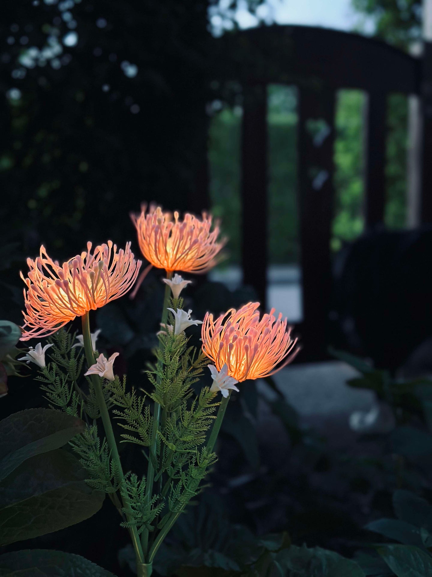 Solcellsblomma - Spindellilja ros