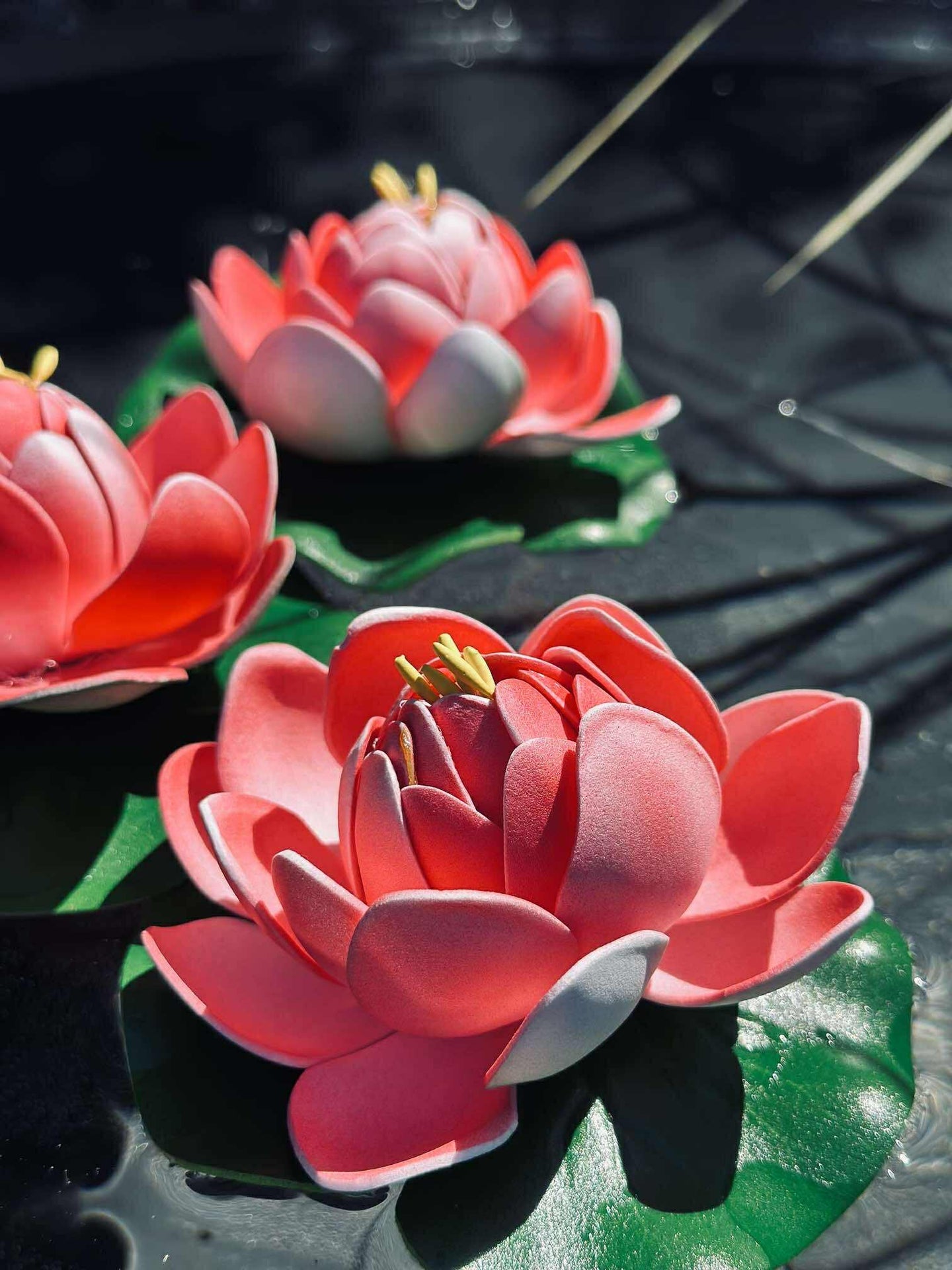 Lotus - Flera färger
