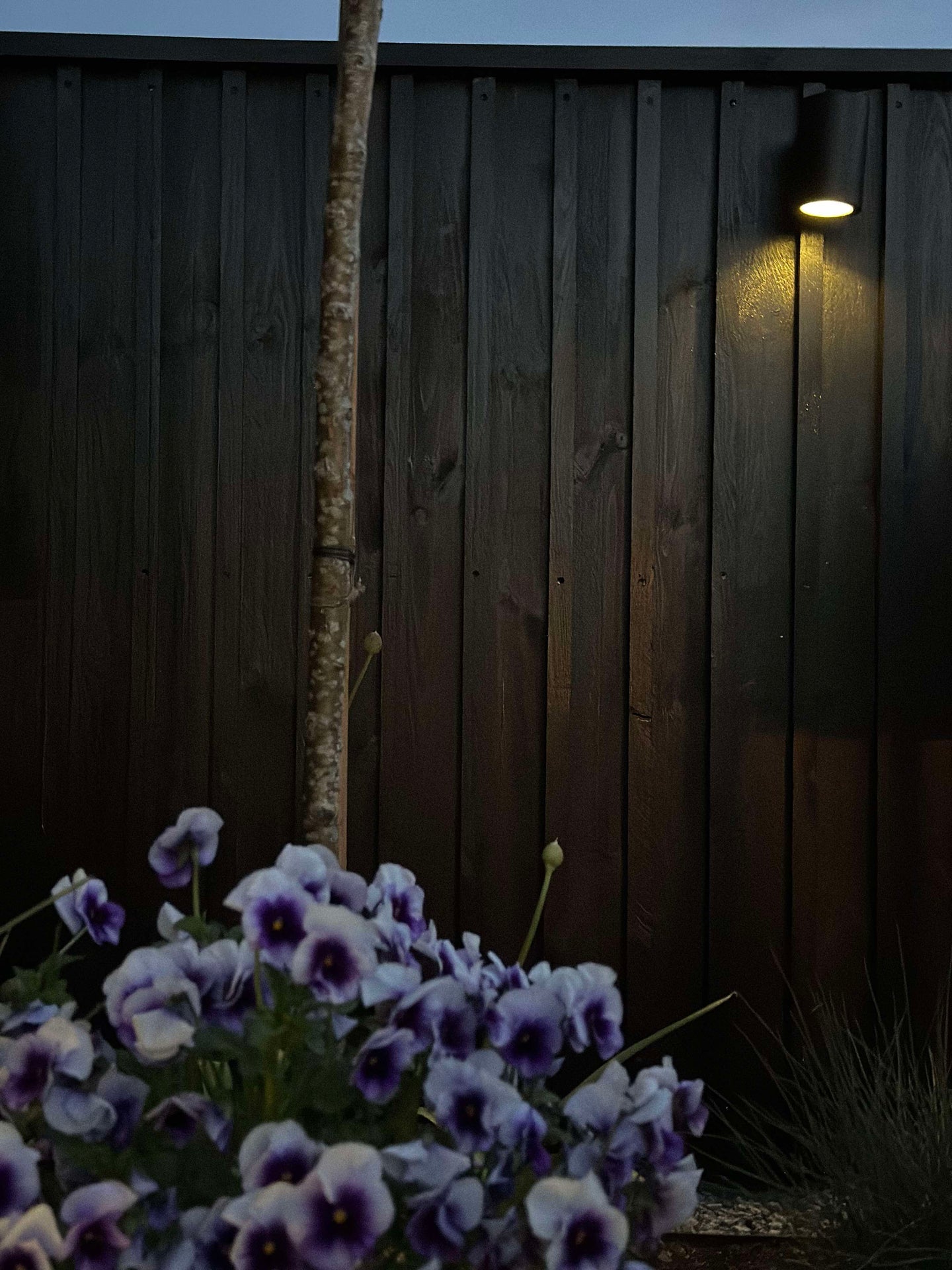 Vägglampa med solceller