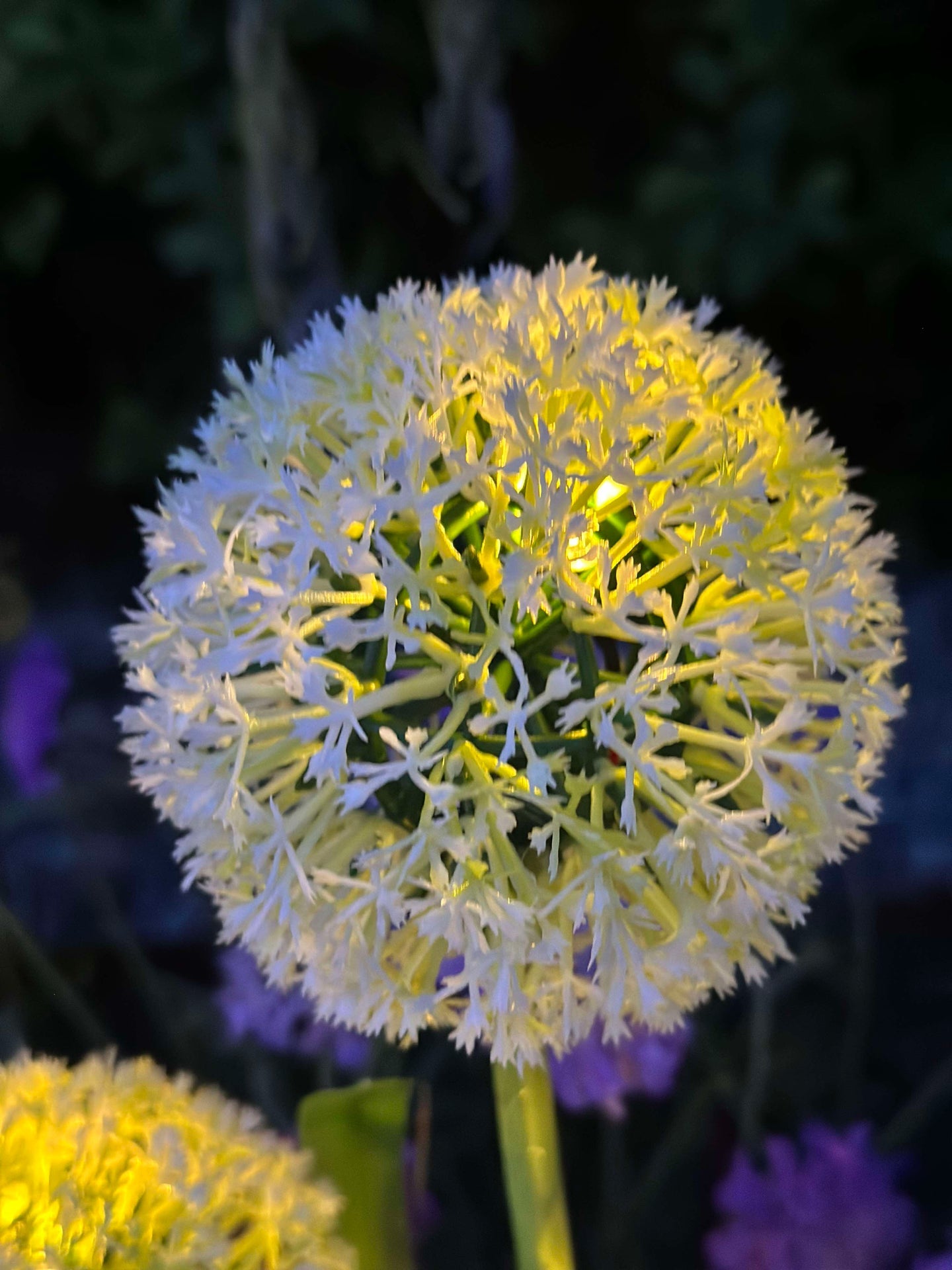 Dekorativ lök med solceller