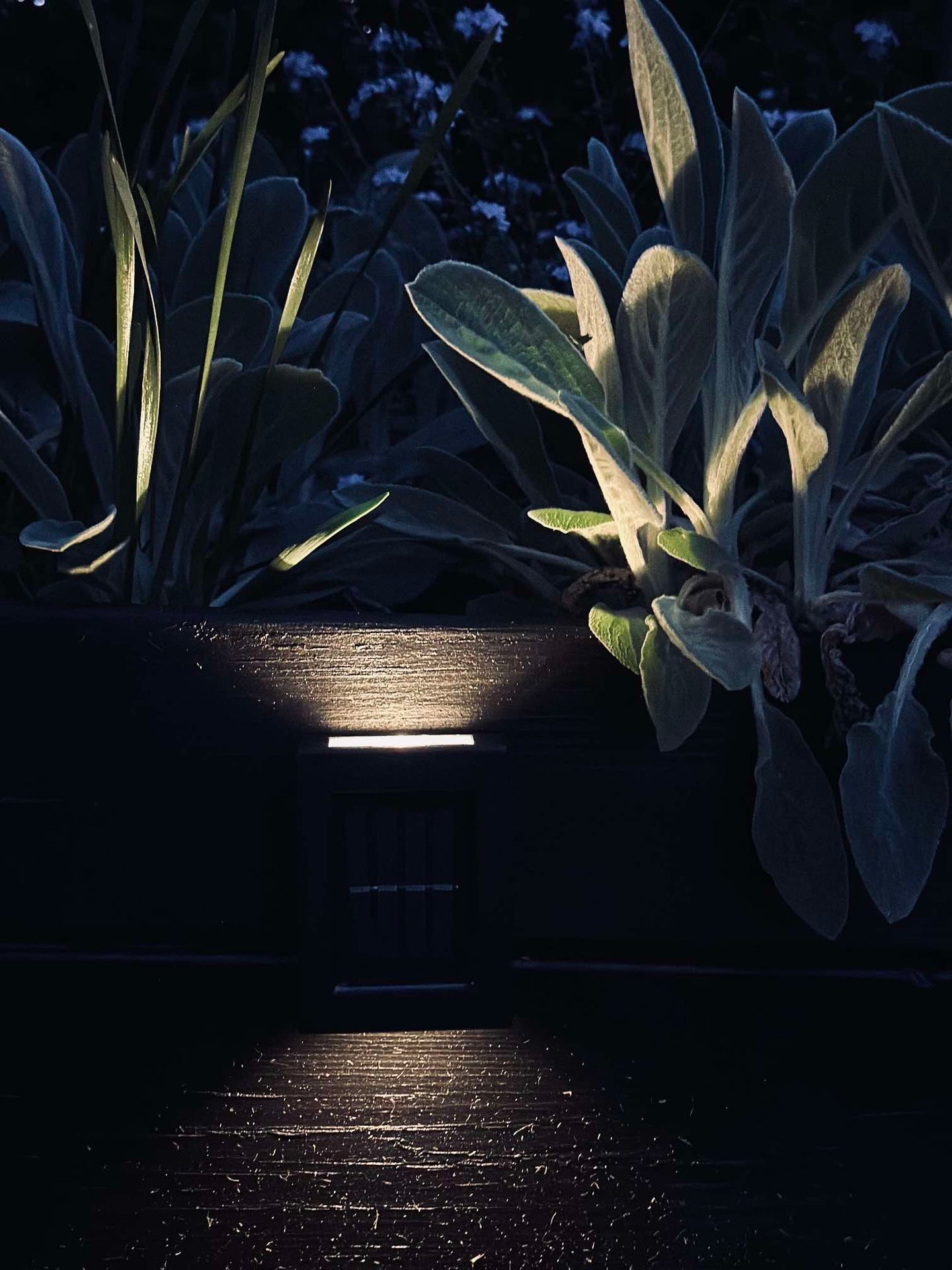 Aura Solar Lampa - 2-pack