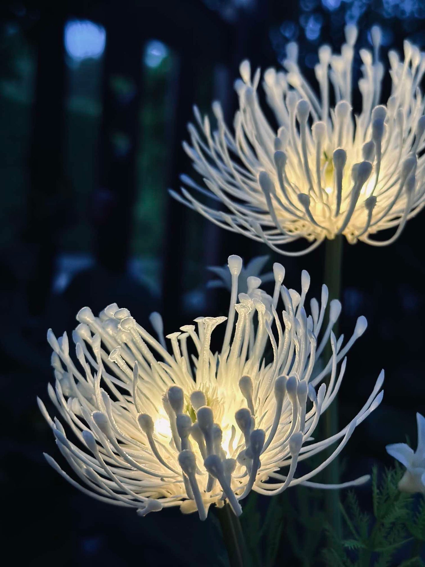 Blomma med solceller - Spider Lili vit