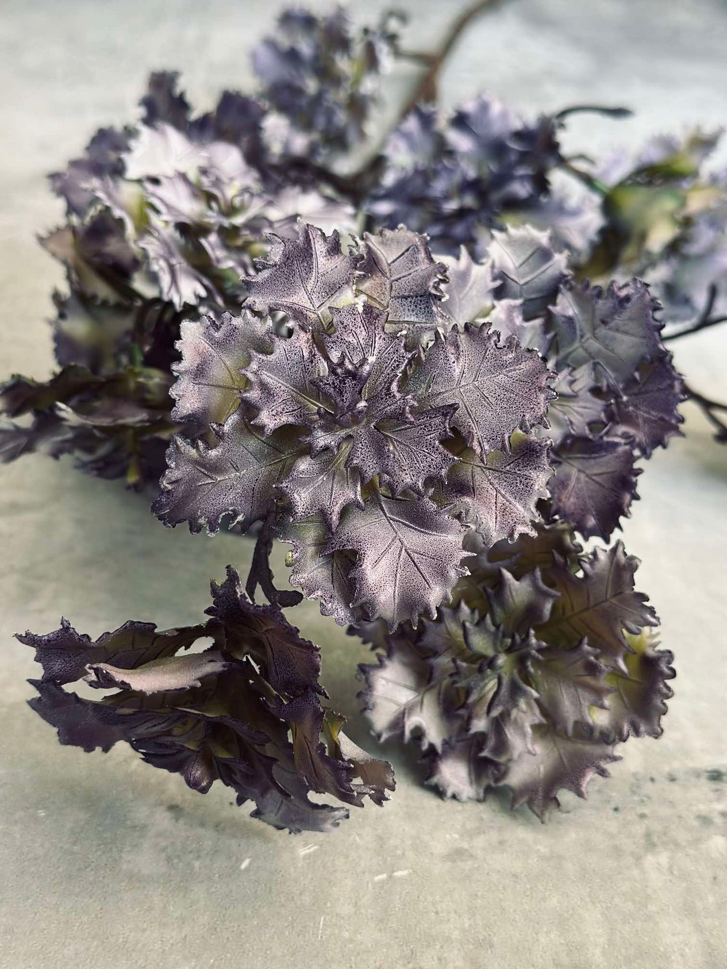 Blomma nejlika