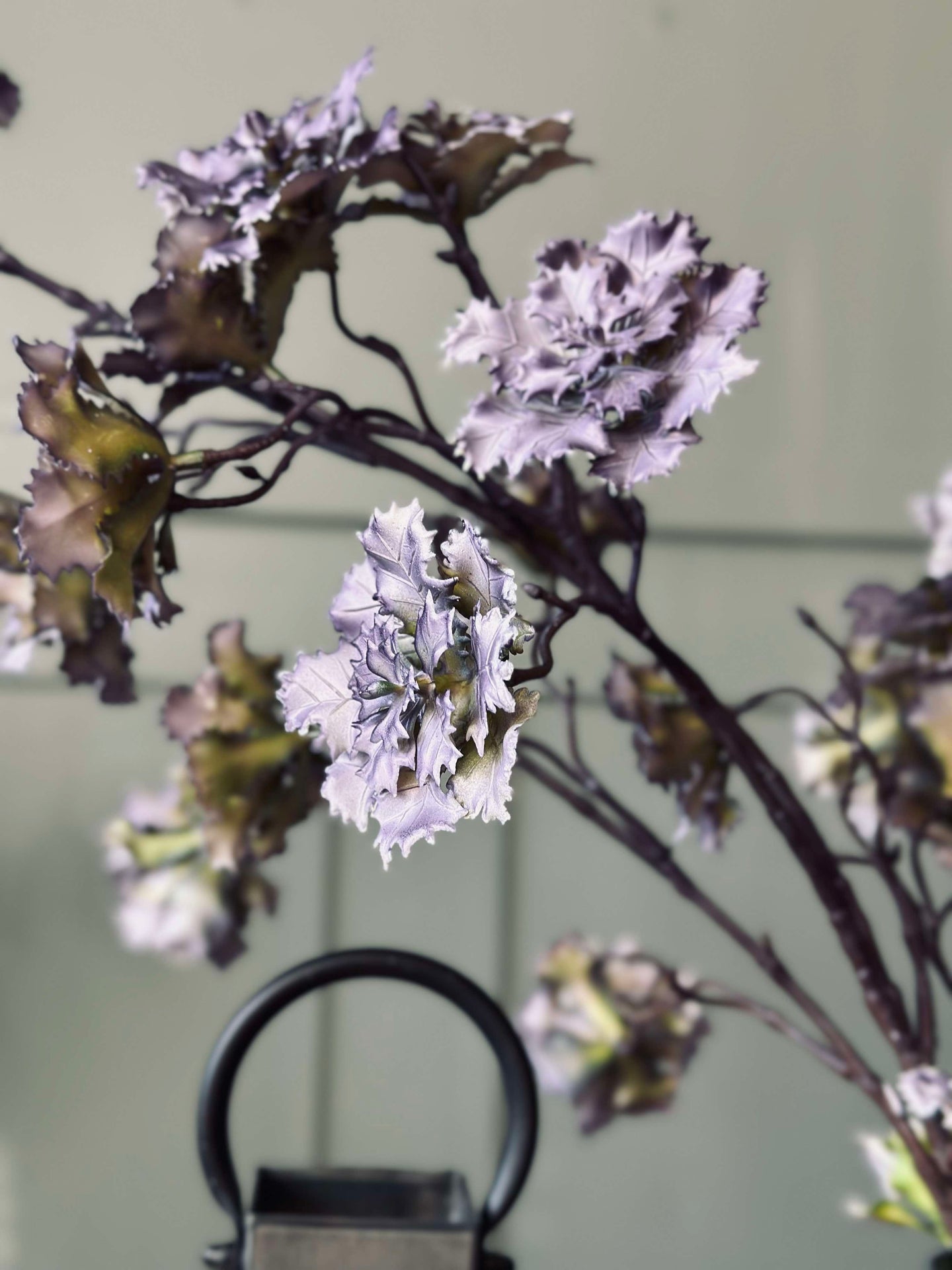 Blomma nejlika