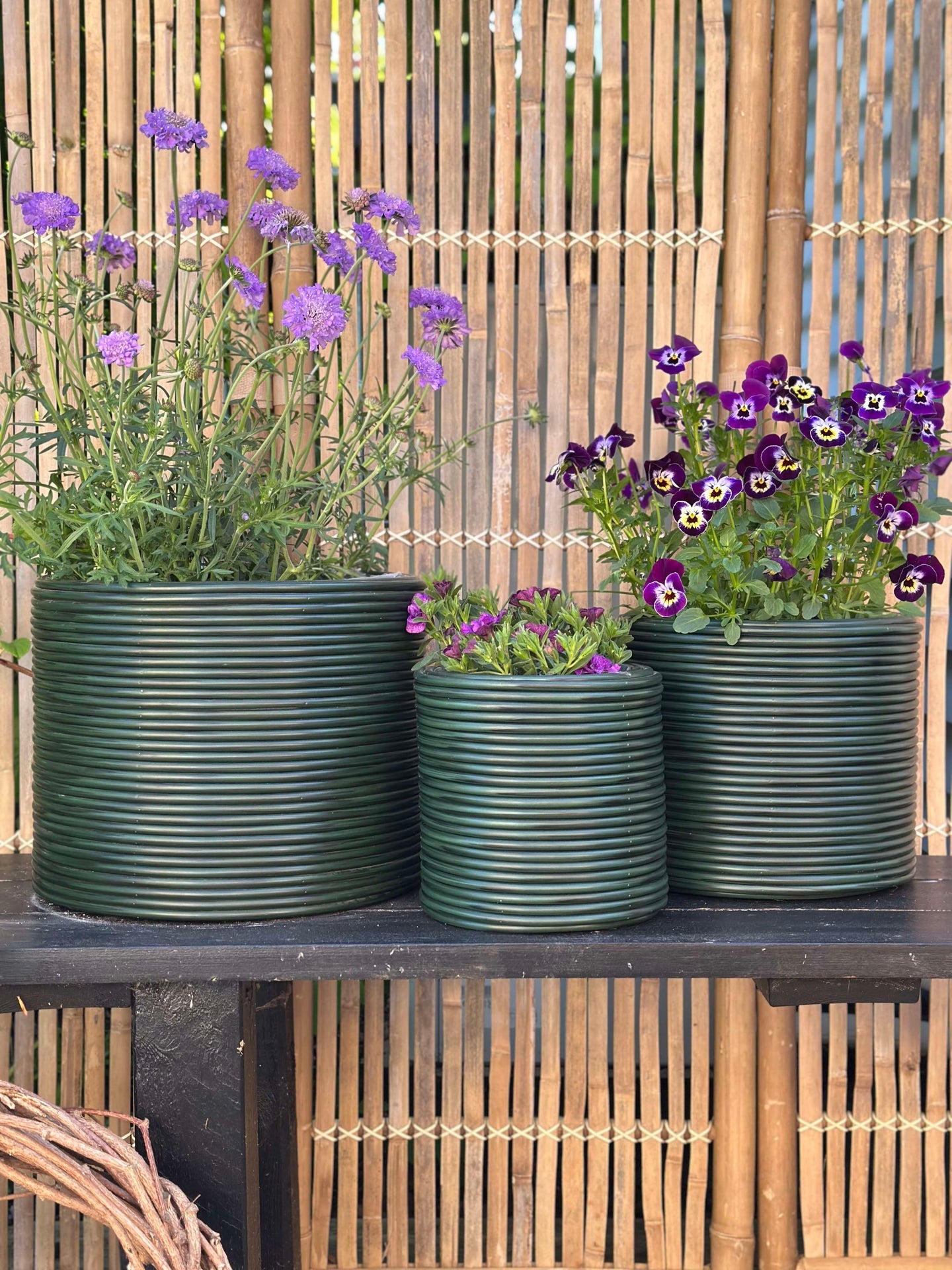 Grön Växtkorg - Set om 3 st.