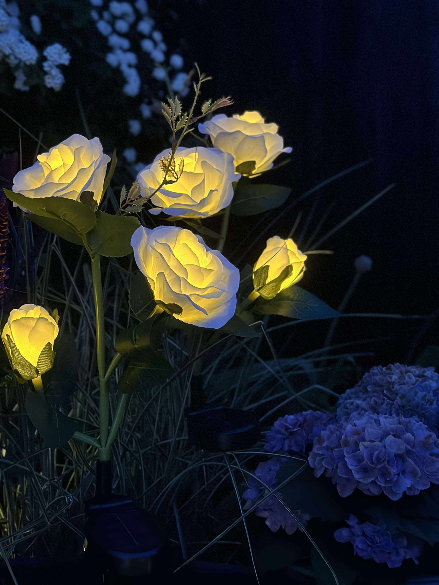 Ros med solceller - Vit