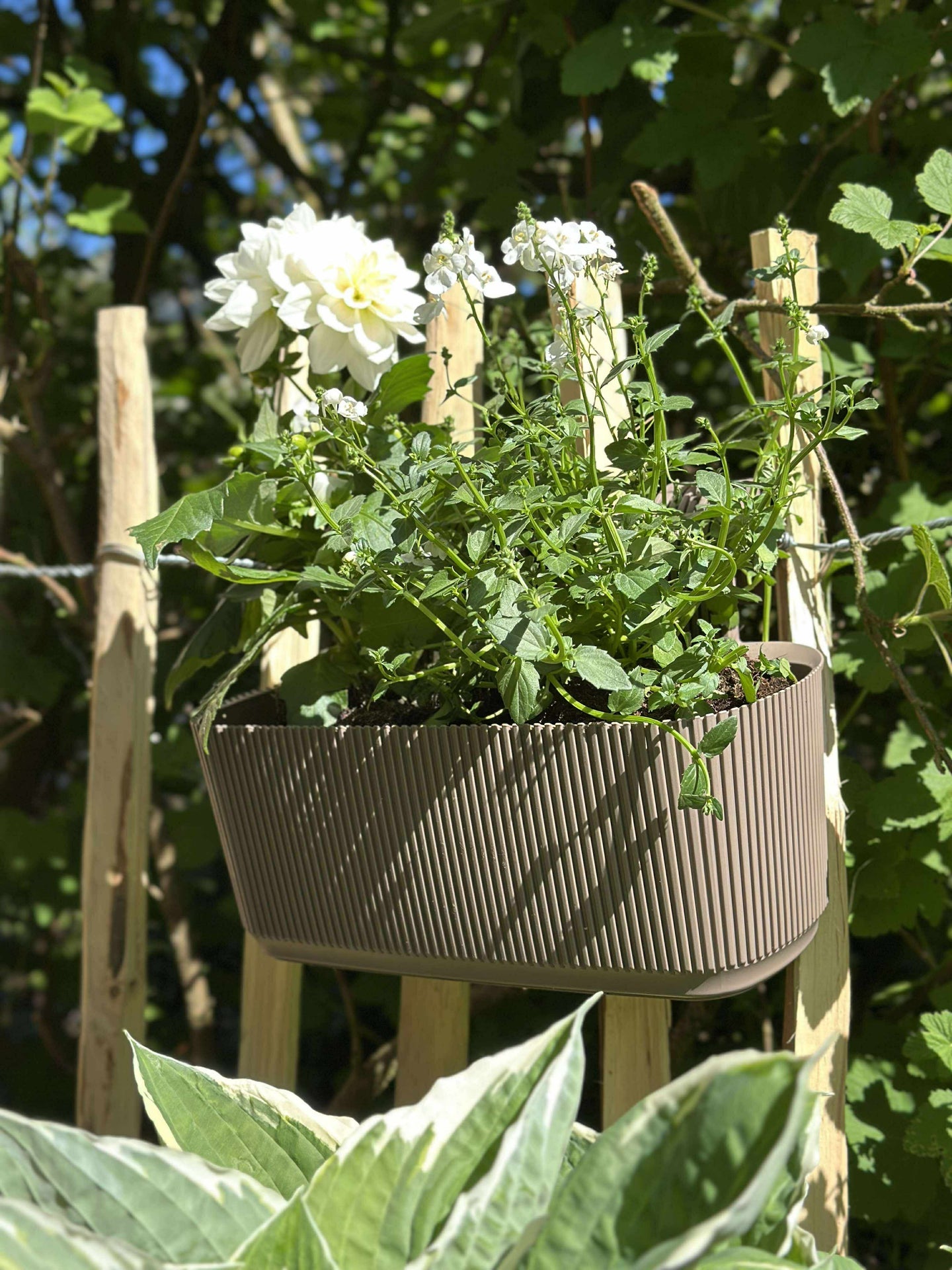 Planteringslåda med upphängning - Beige