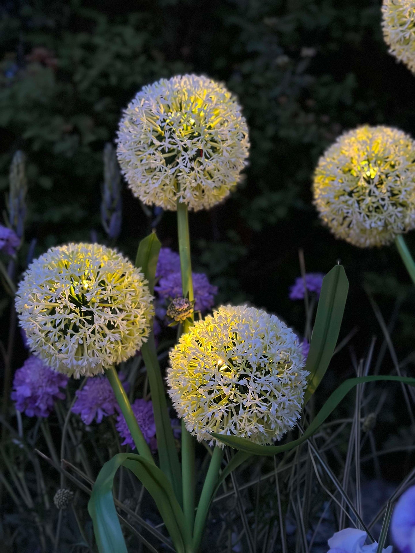 Dekorativ lök med solceller