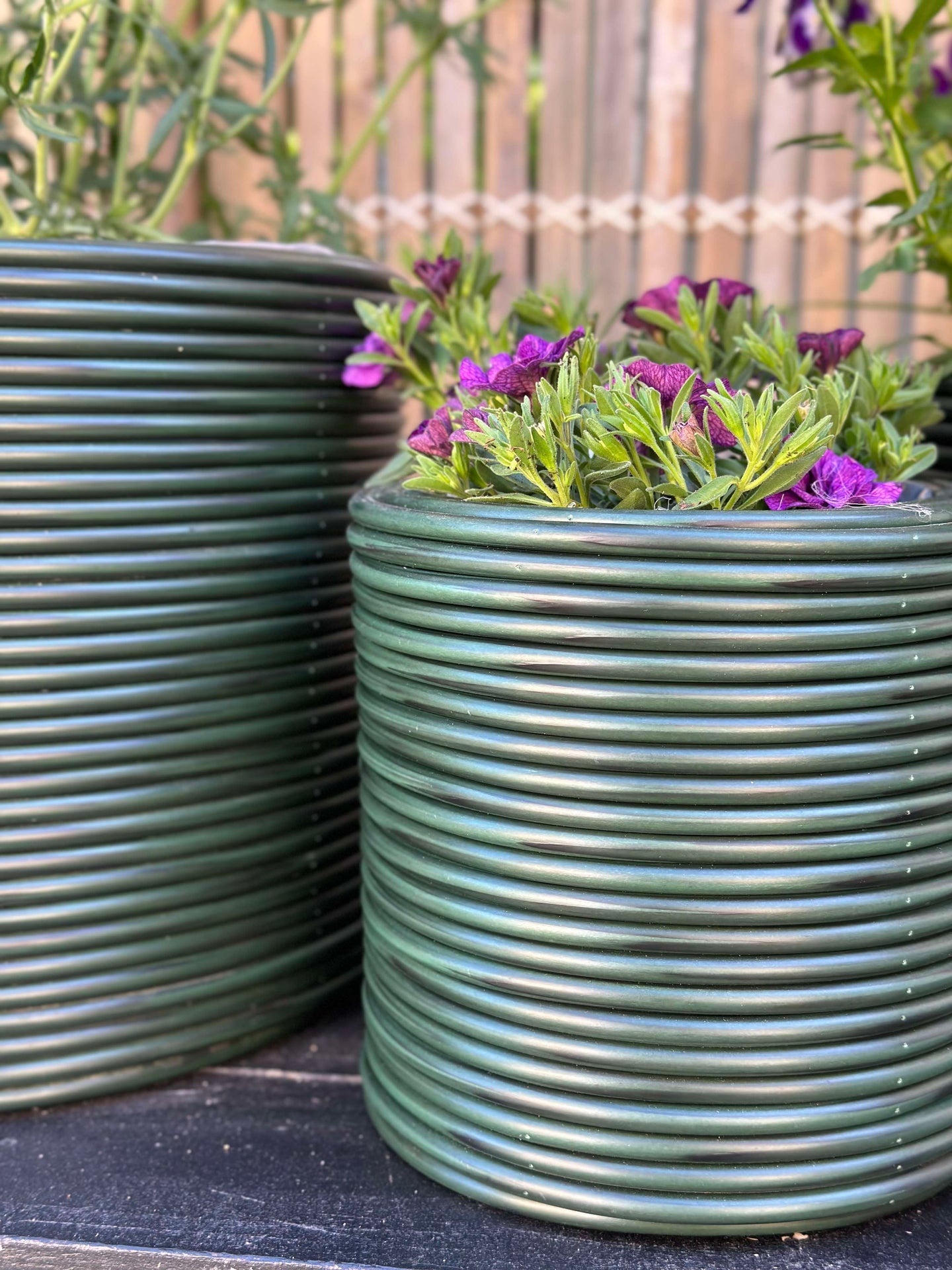 Grön Växtkorg - Set om 3 st.