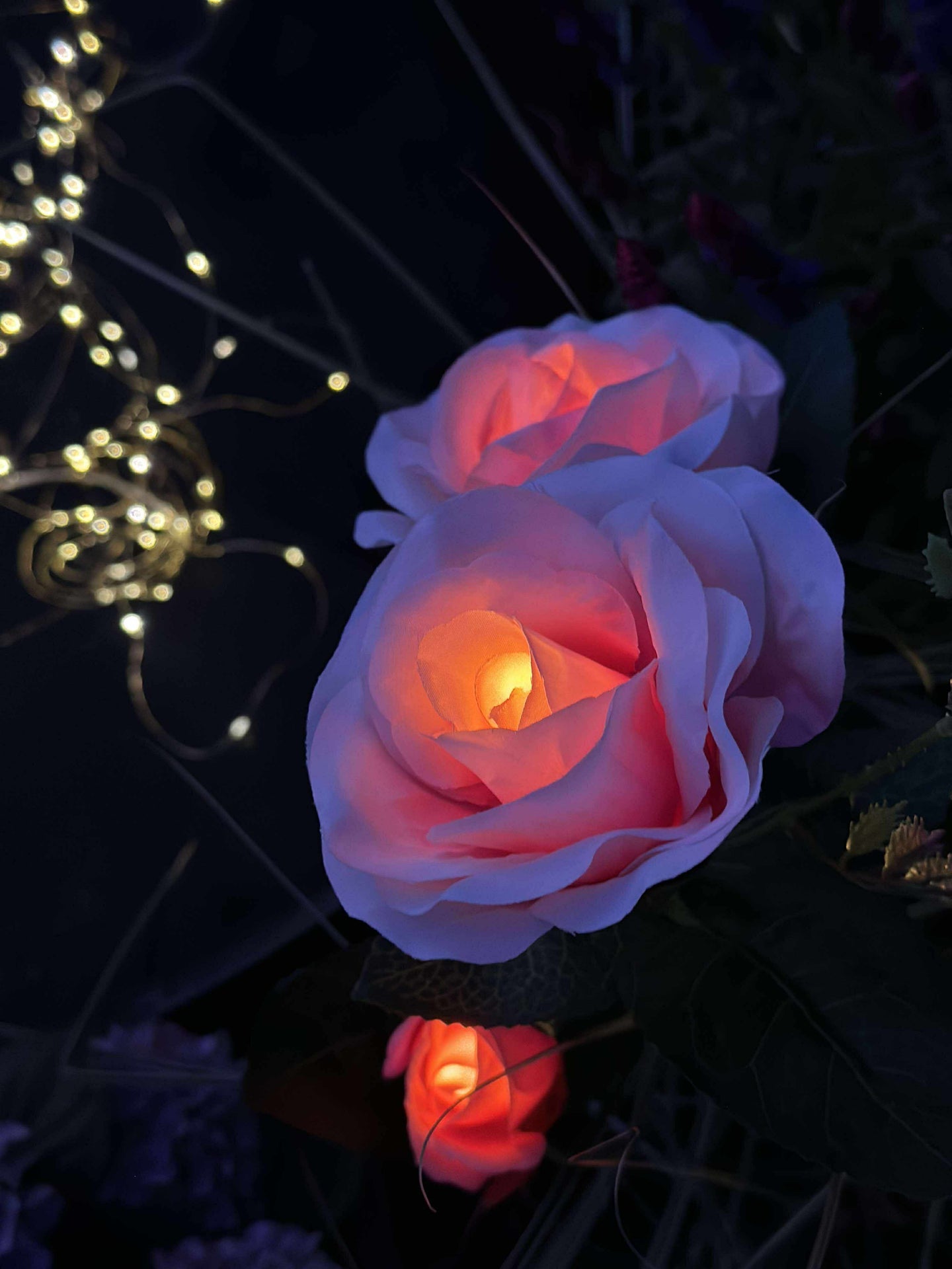 Ros med solceller - Rosa