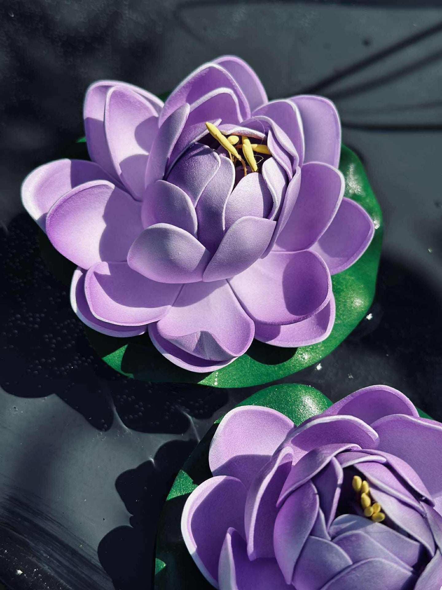 Lotus - Flera färger