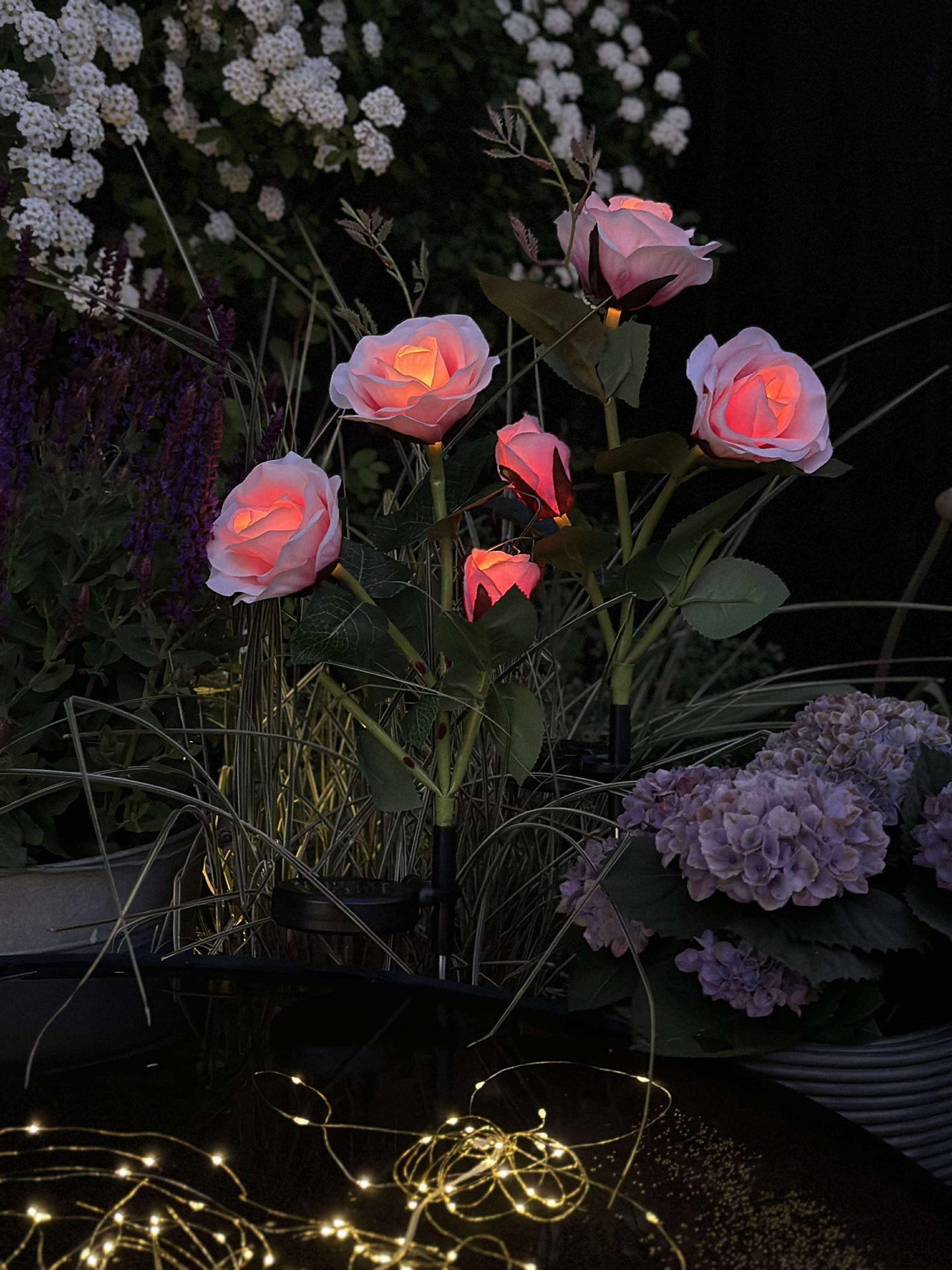 Ros med solceller - Rosa