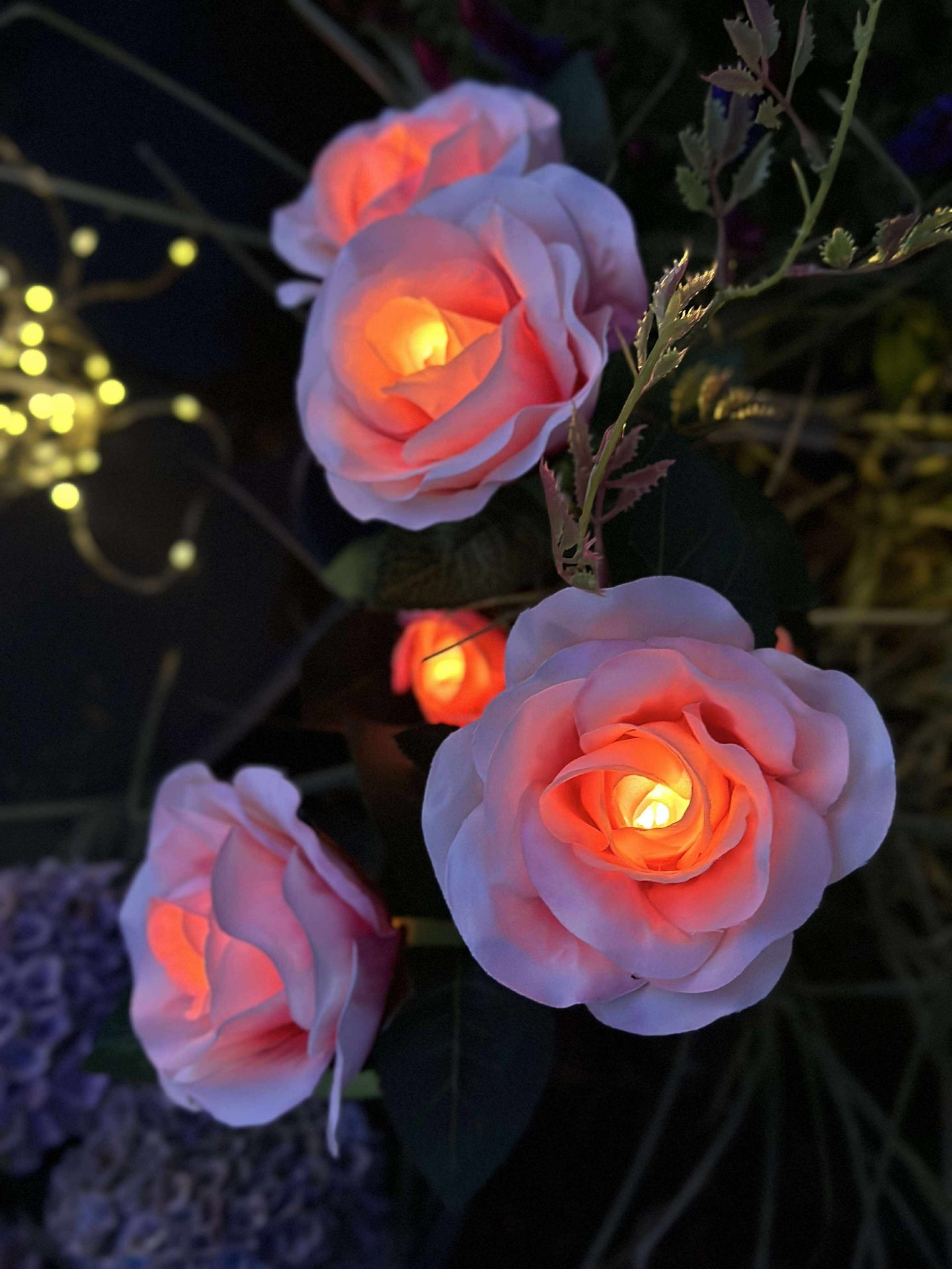 Ros med solceller - Rosa