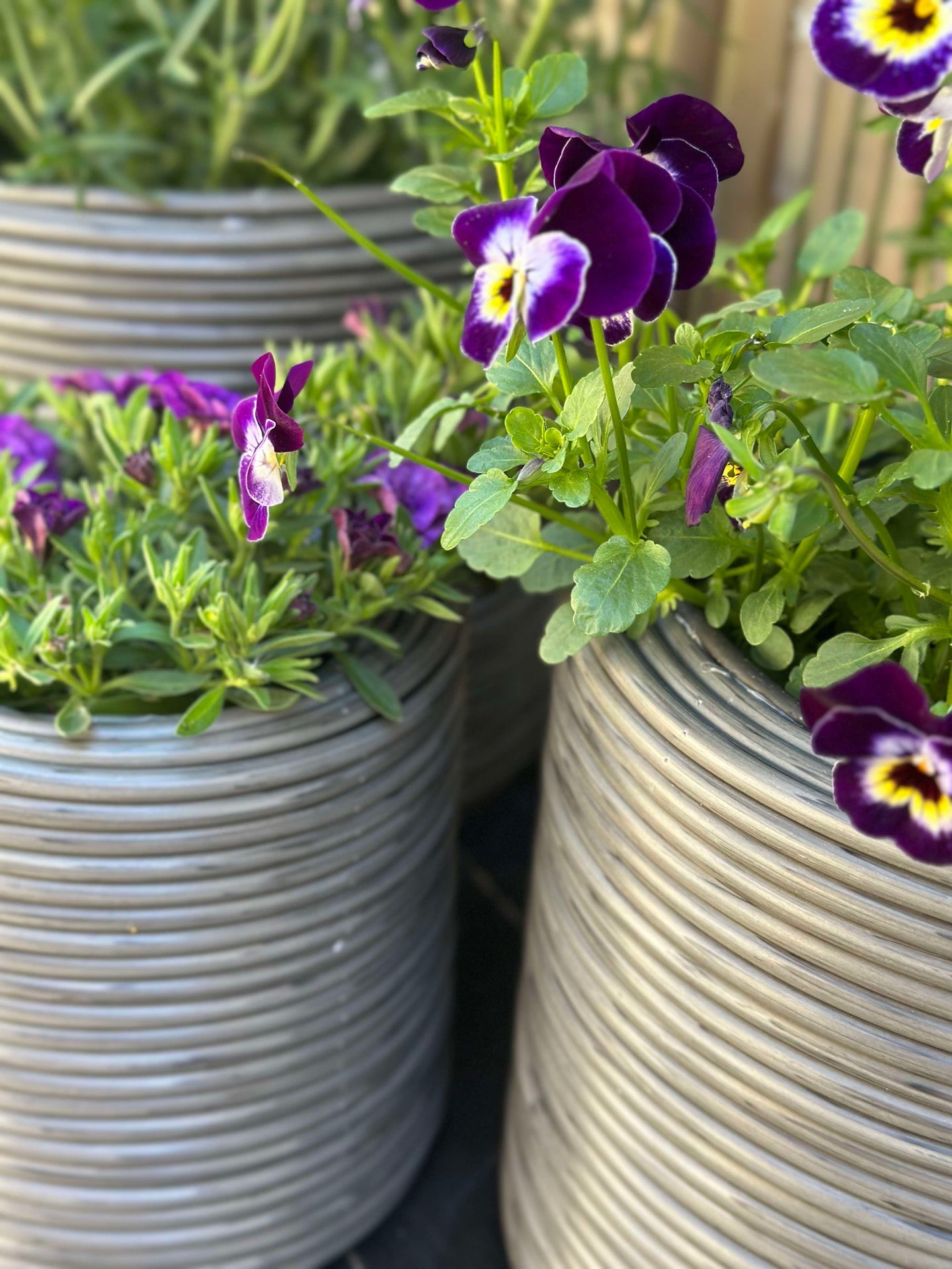 Växtkorg Grå - Set om 3 st.