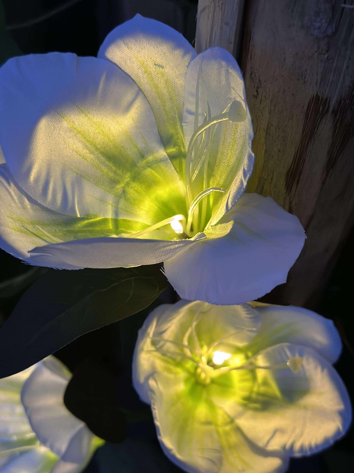 Magnolia med solceller - Vit