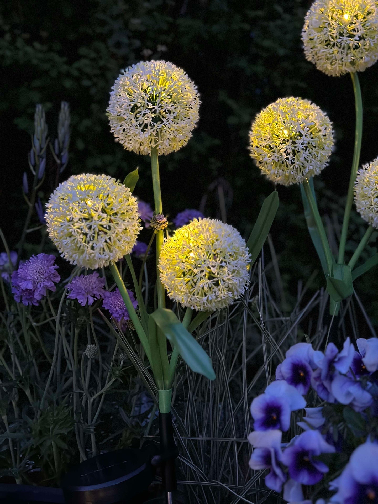 Dekorativ lök med solceller