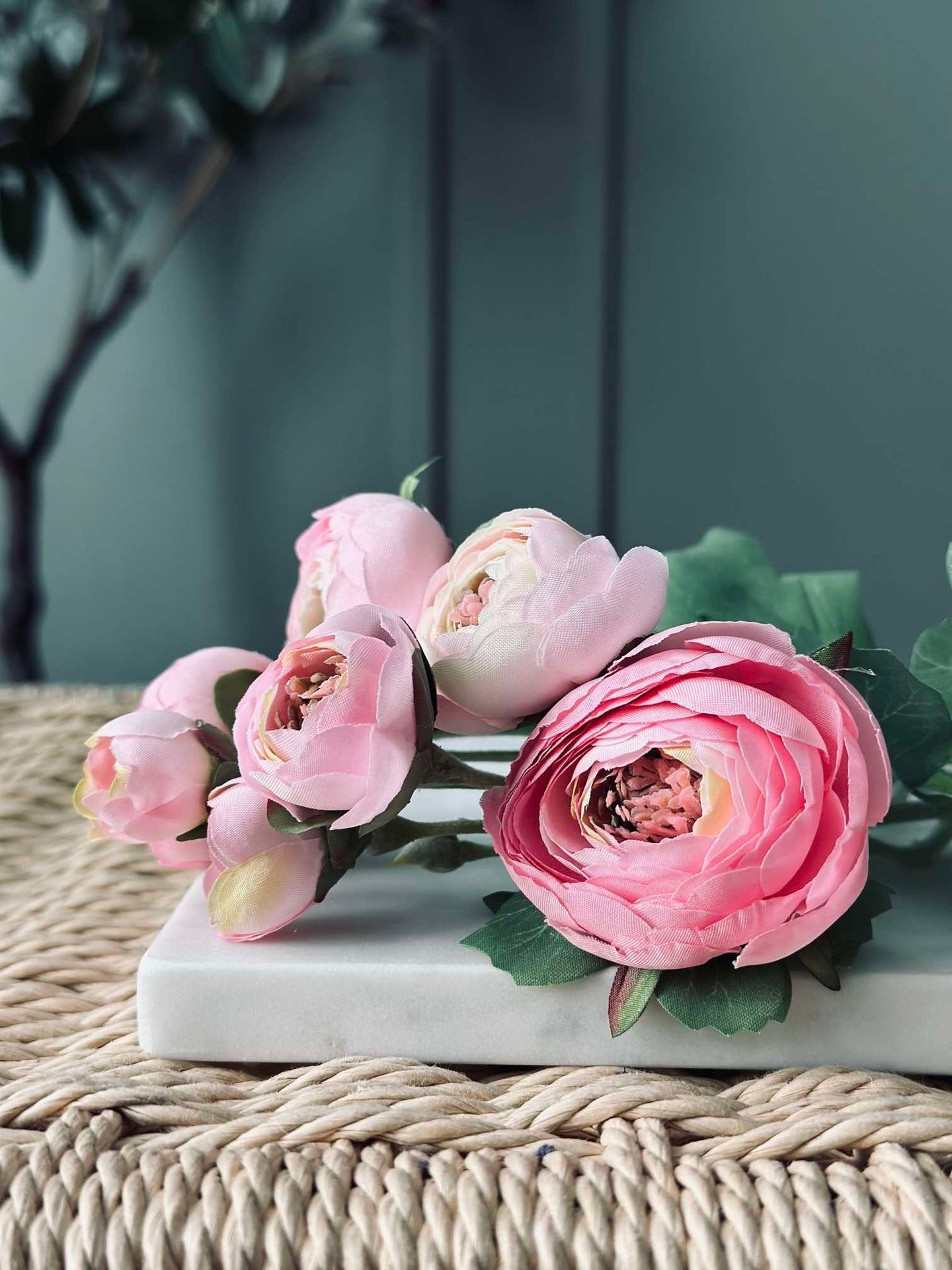 Blomma Ranunkel stjälk