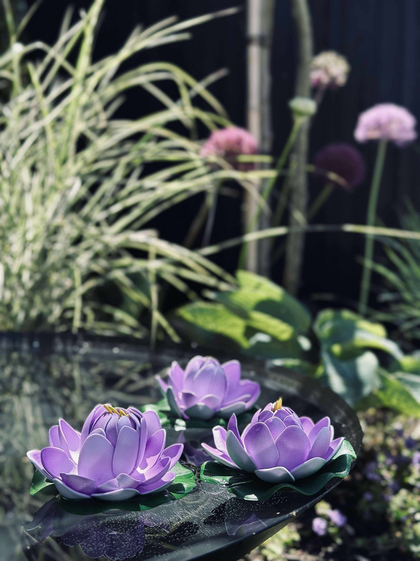 Lotus - Flera färger