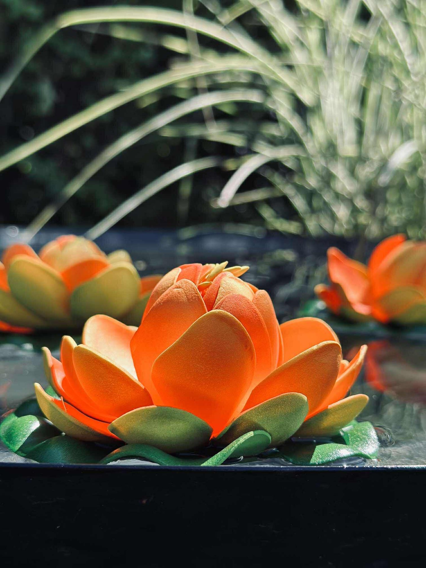 Lotus - Flera färger