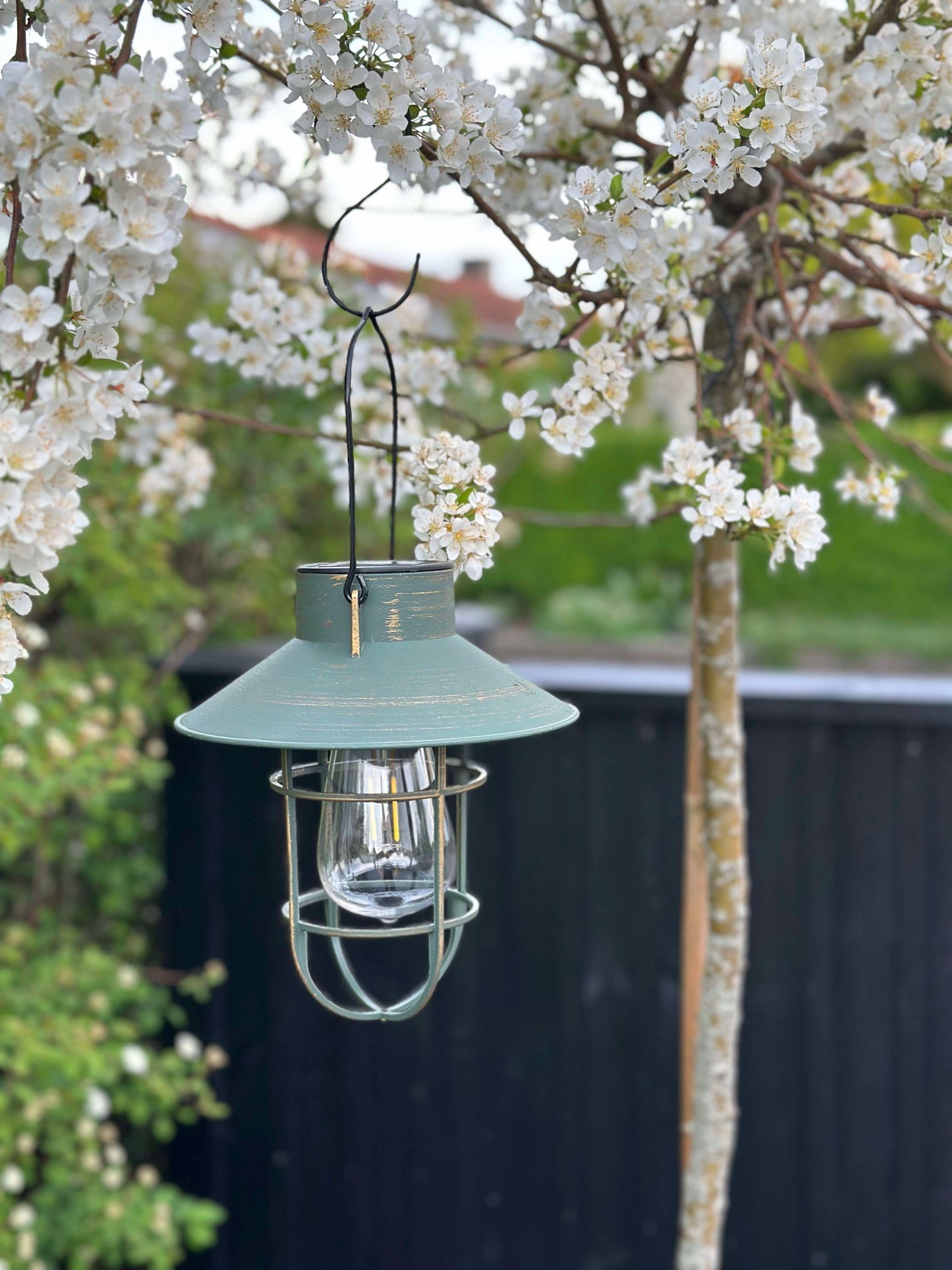 Solar lampa med upphängning - Grön / guld