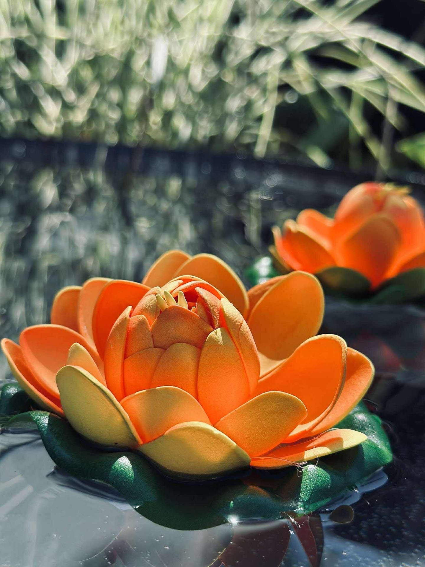 Lotus - Flera färger