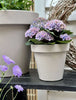 Kruka dia 20cm - Återvunnen Beige