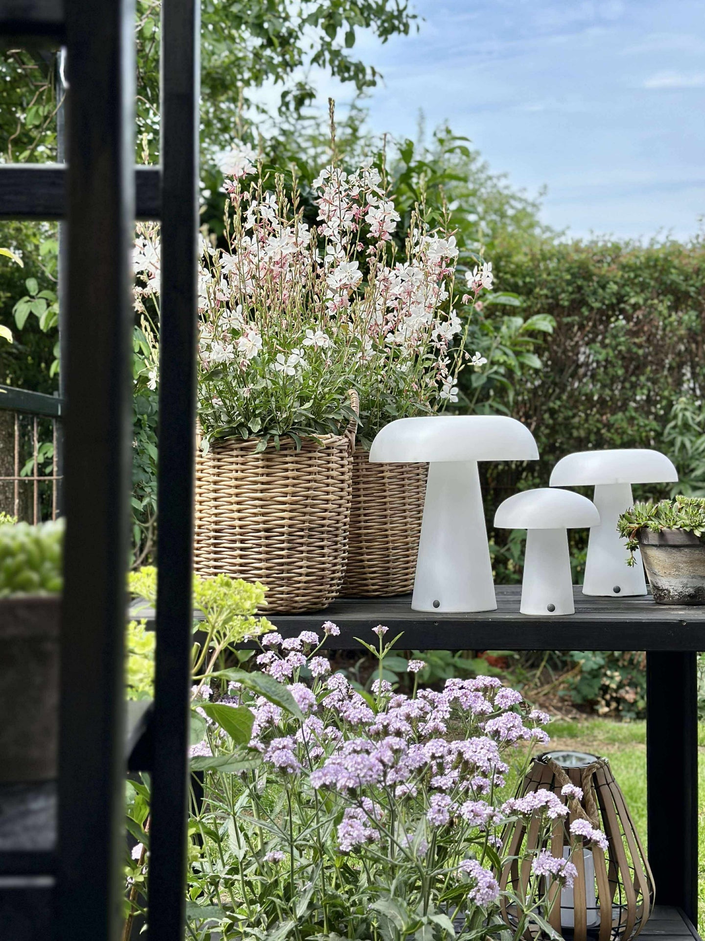 Svamp uppladdningsbar - Liten