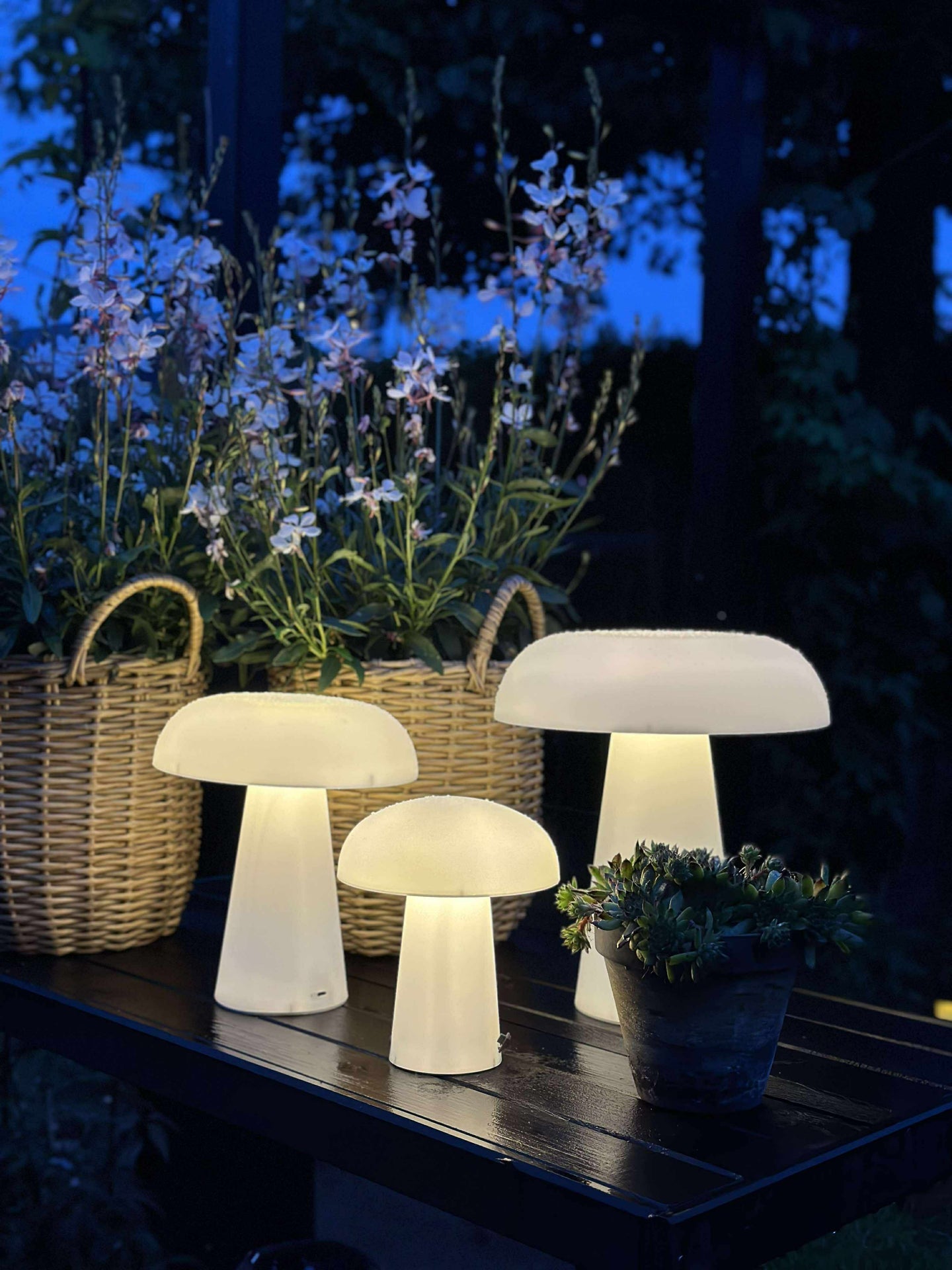 Svamp uppladdningsbar - Liten