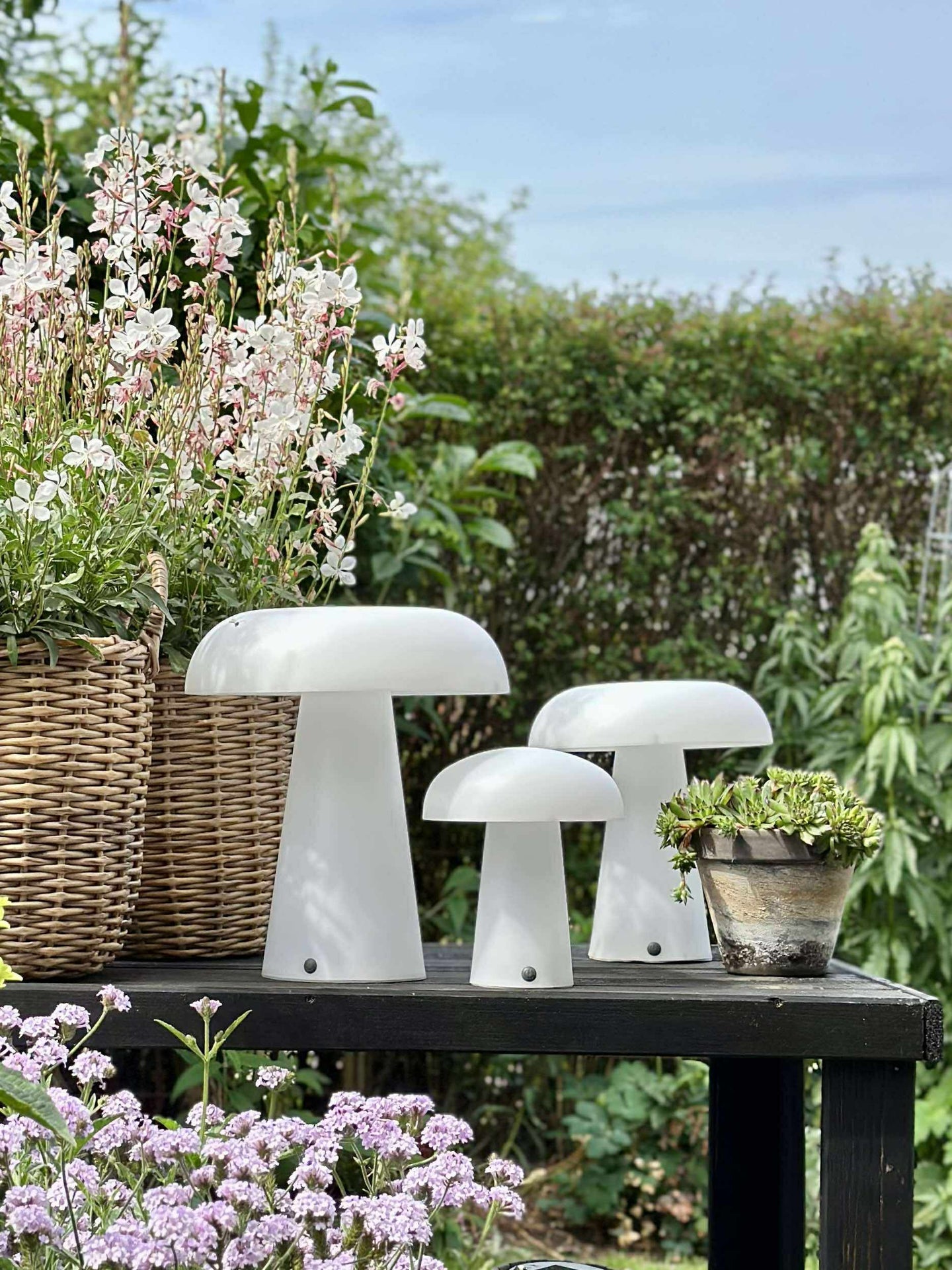 Svamp uppladdningsbar - Stor