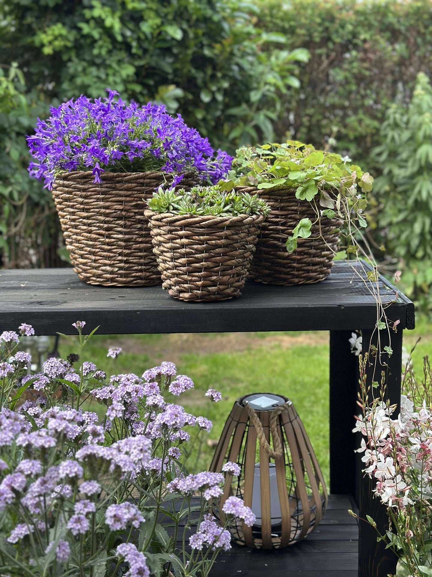 Växtkorgar - Set med 3 st